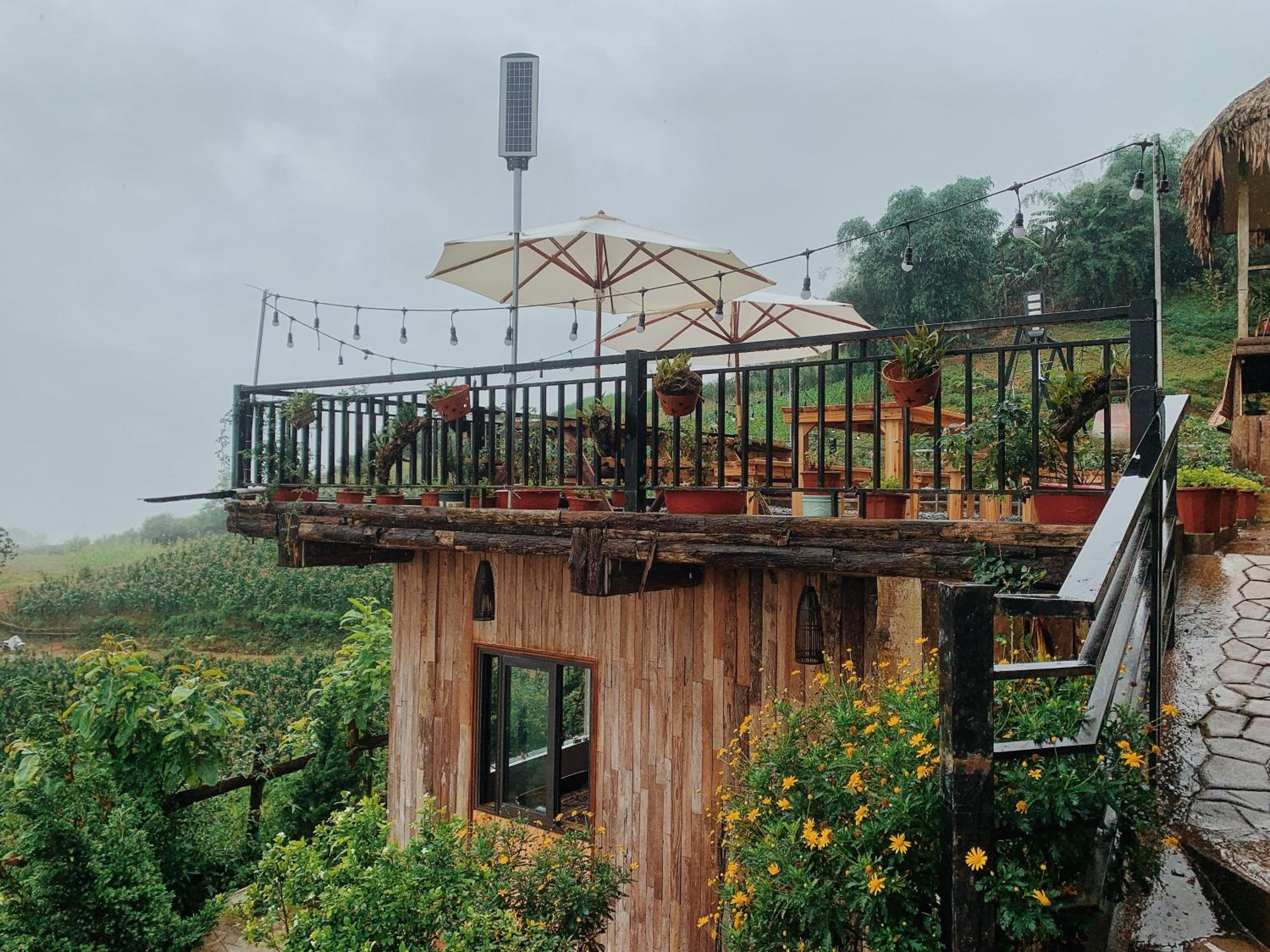 Larosa Homestay