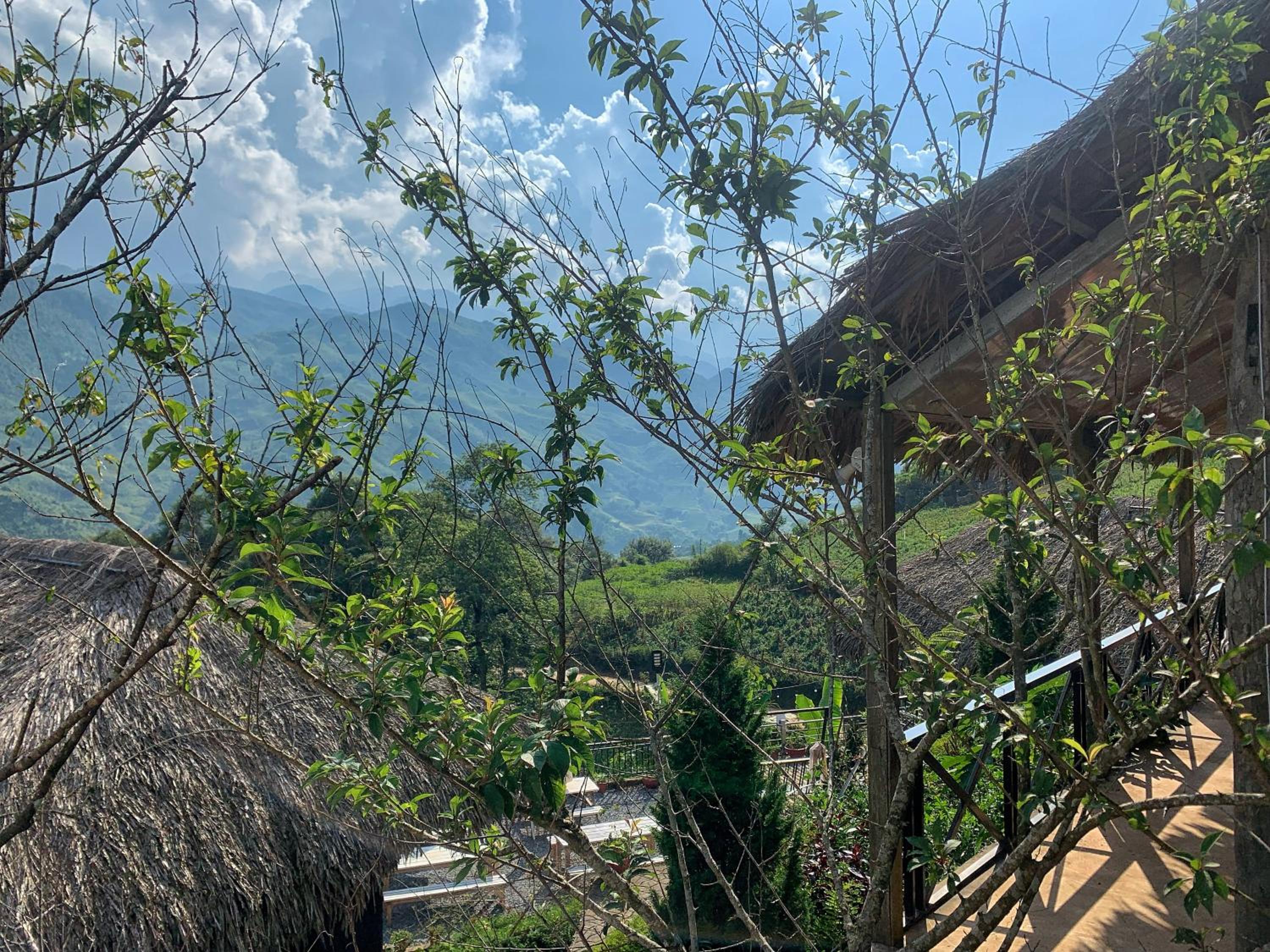 Larosa Homestay