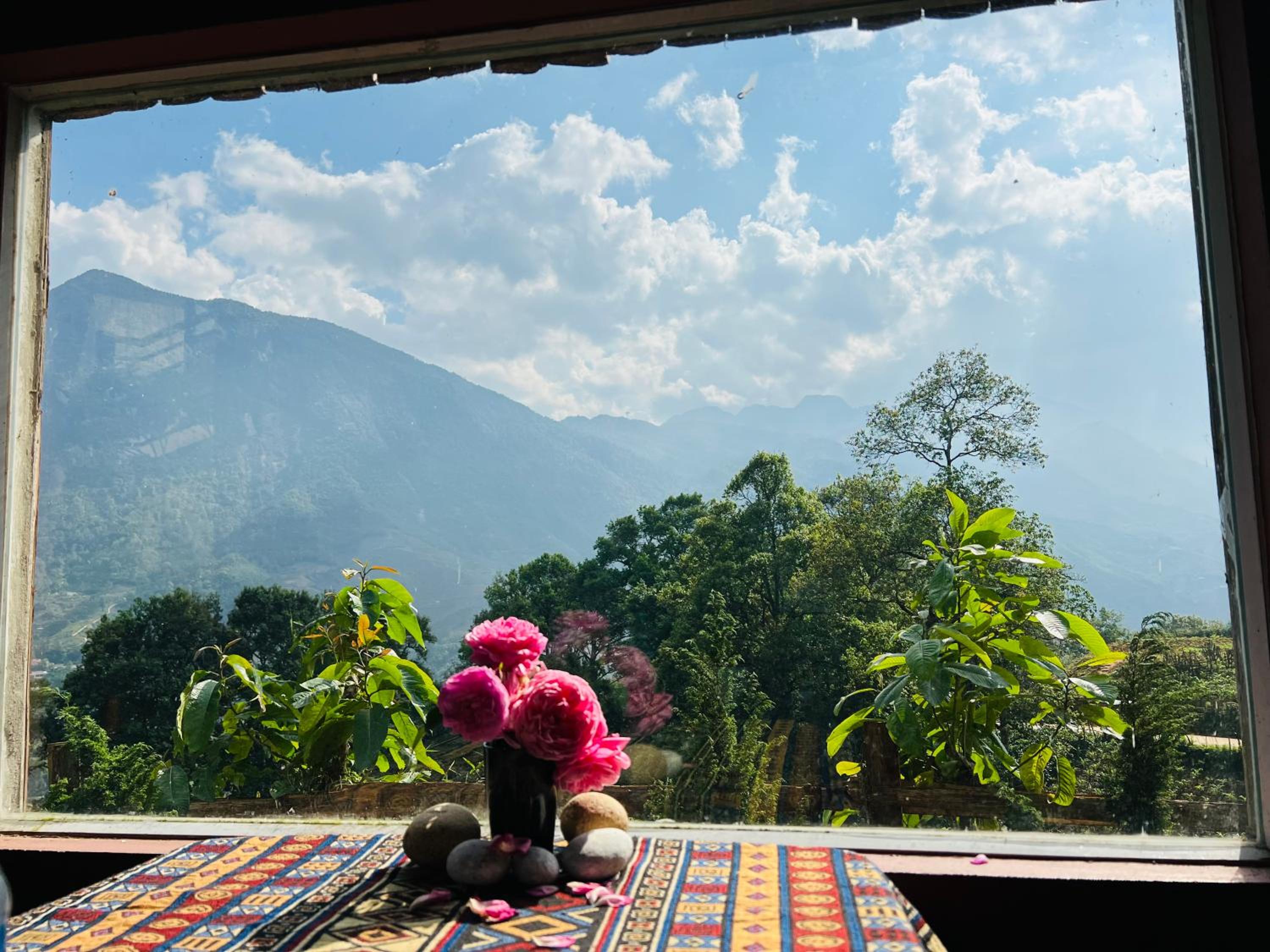 Larosa Homestay