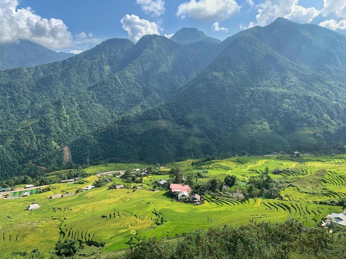 Larosa Homestay
