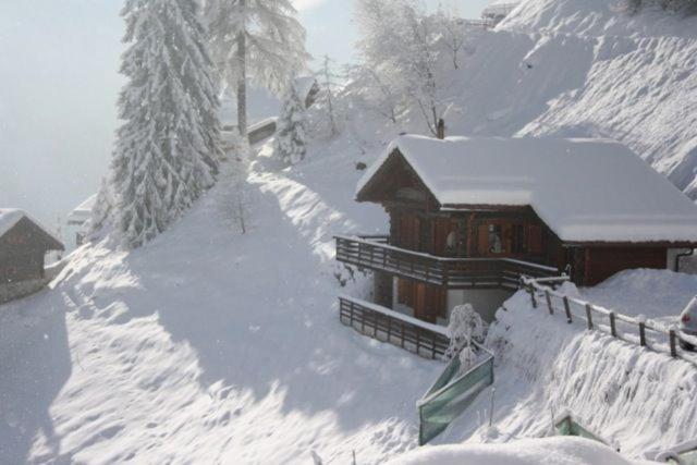 Chalet Haut Cinq
