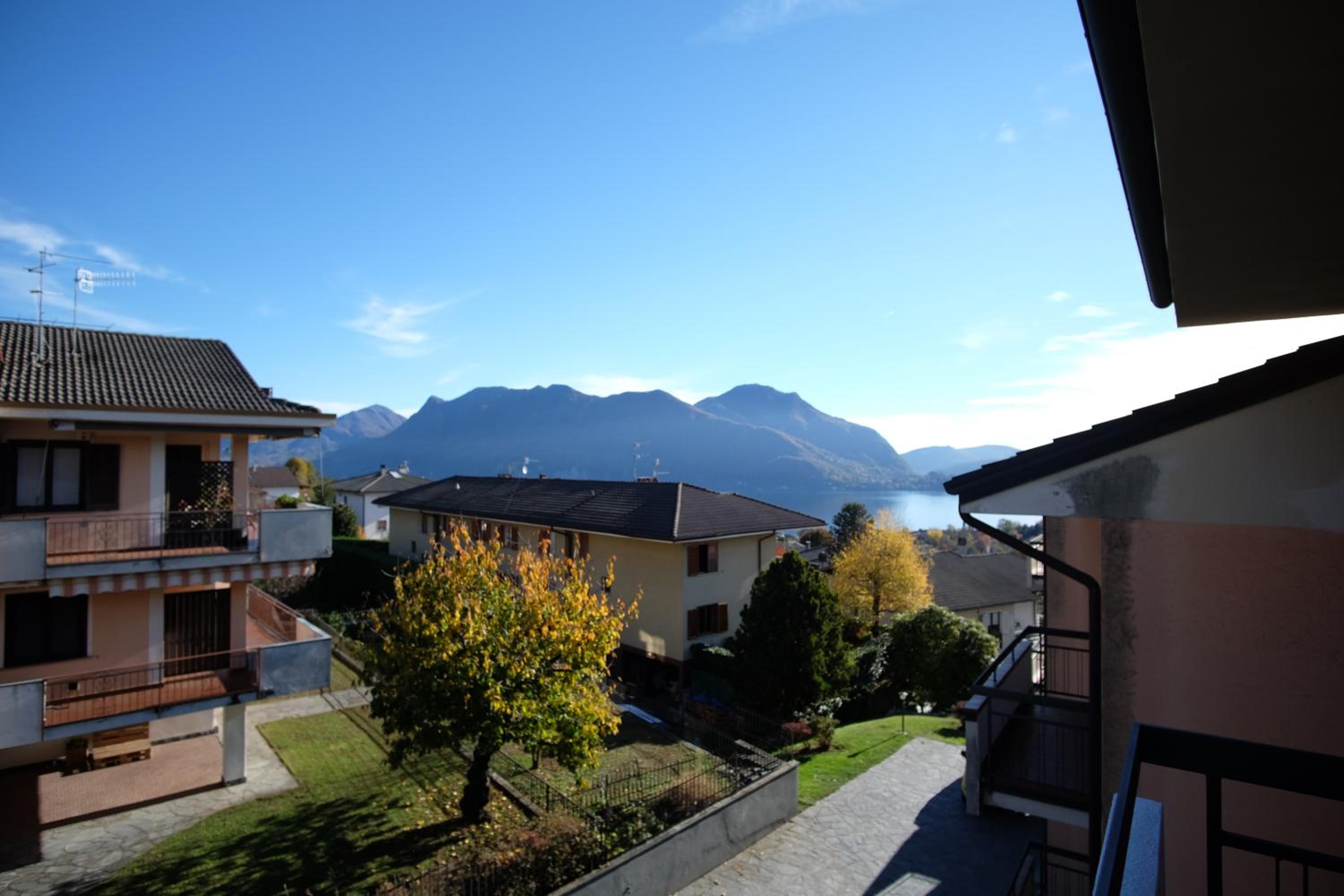 Sole