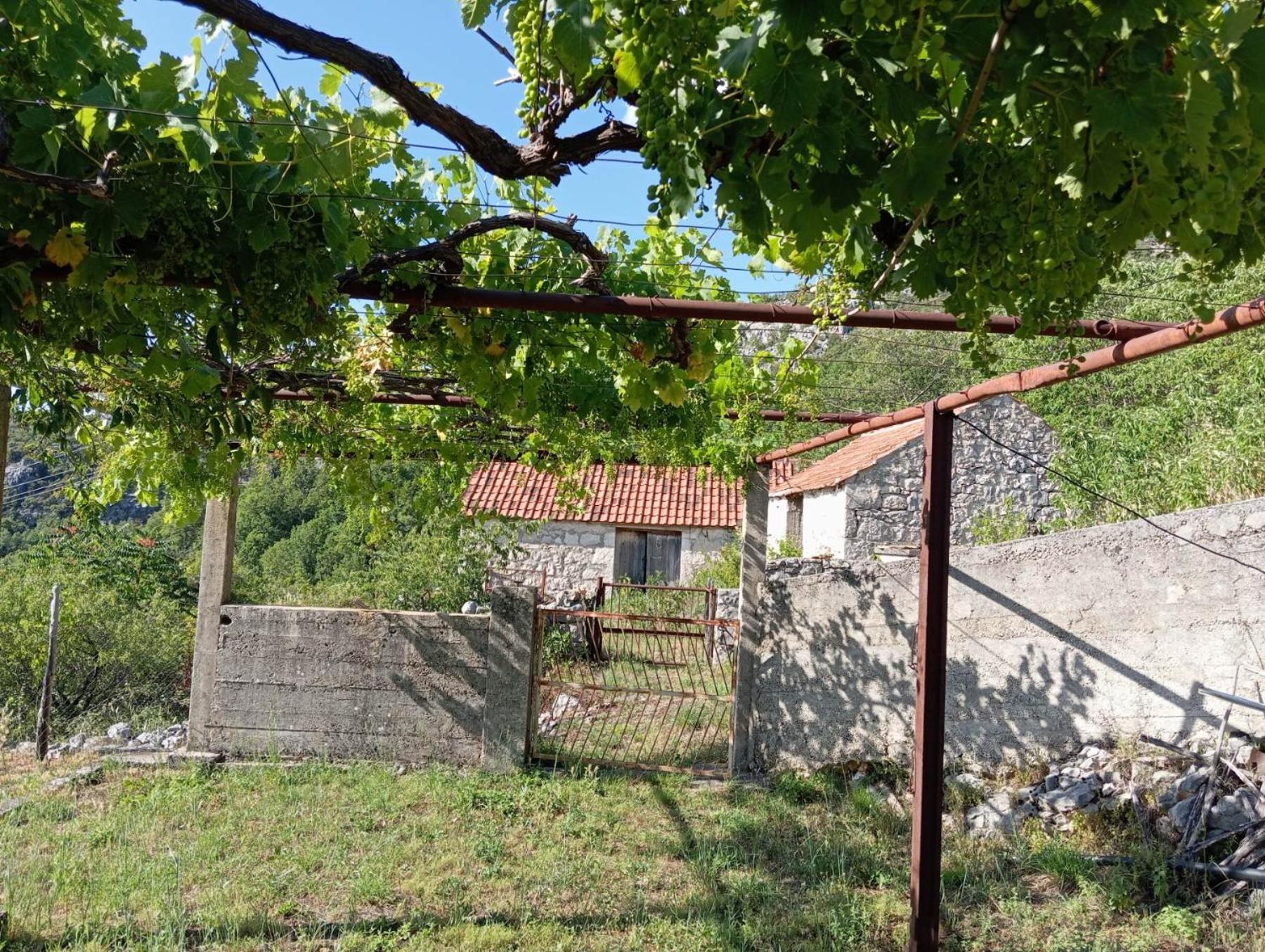 Rustic house Hutovo Blato