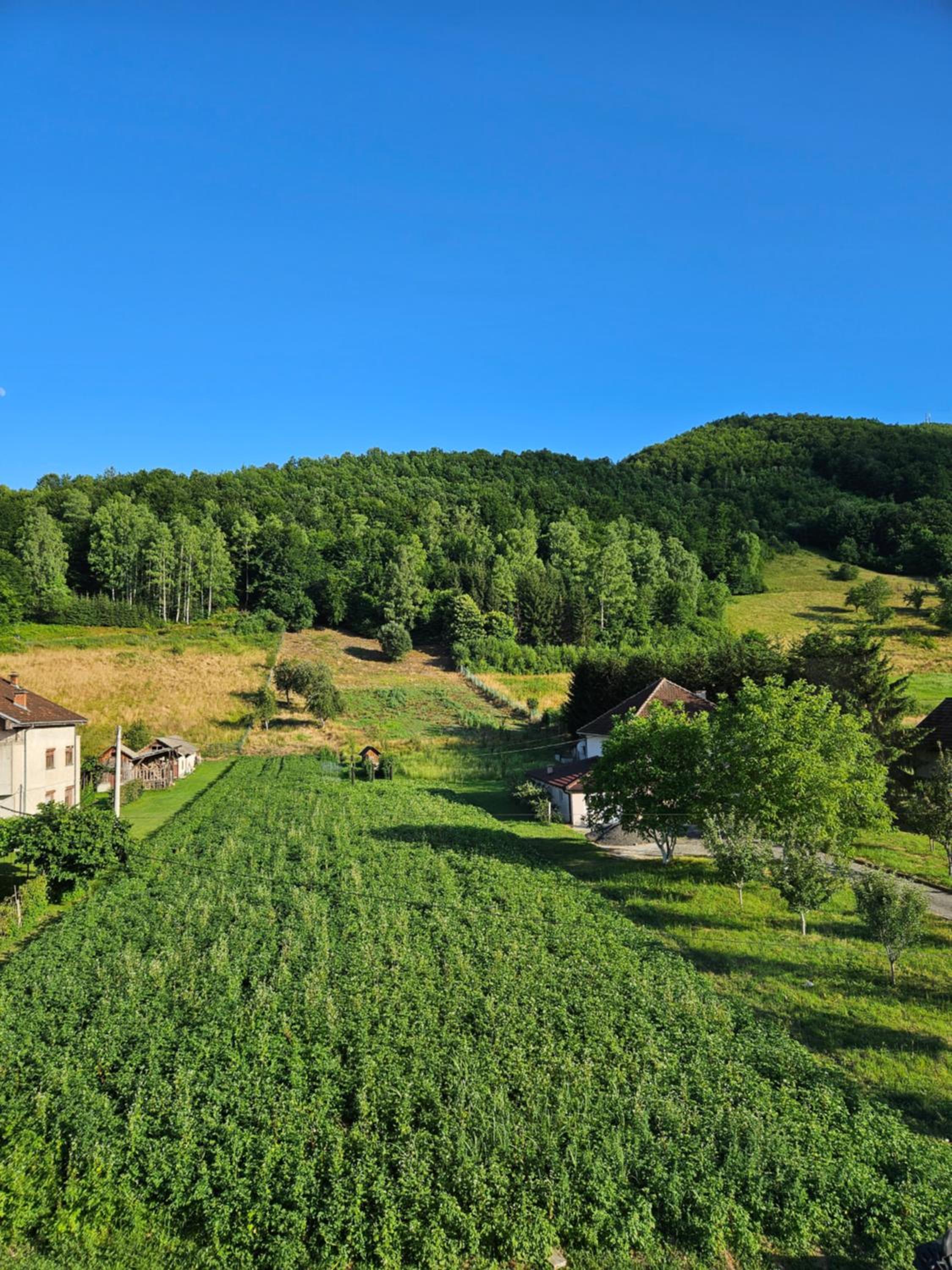 Rooms & Spa BJELASICA view 2