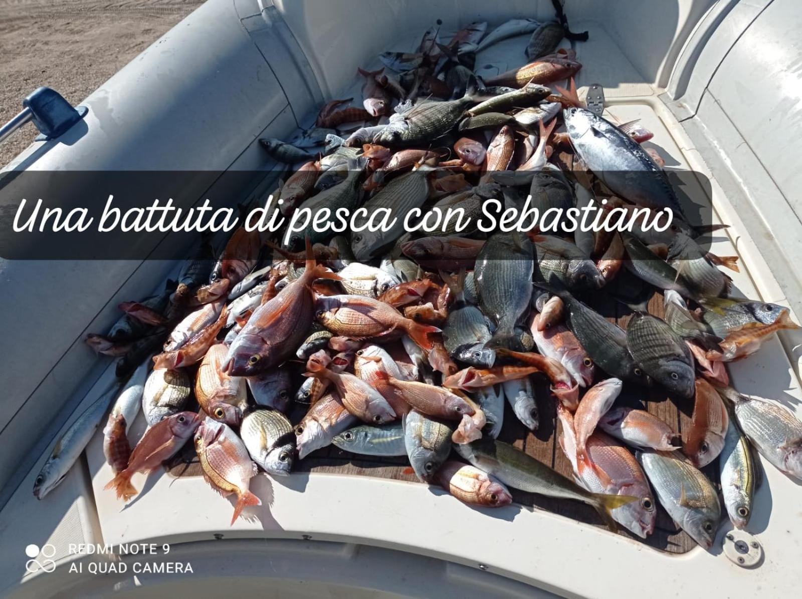 Photo 30