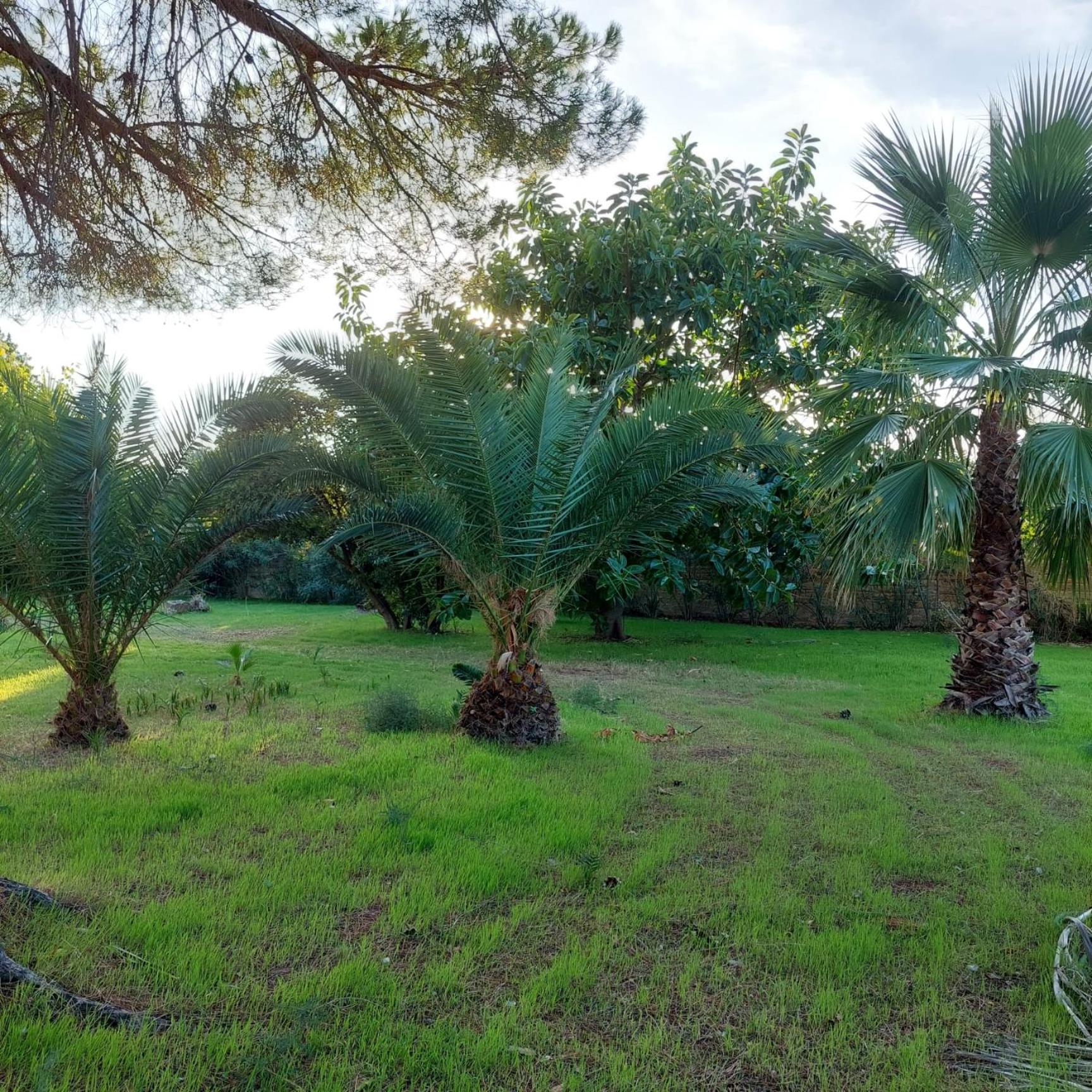 Arenella holidays home view 5