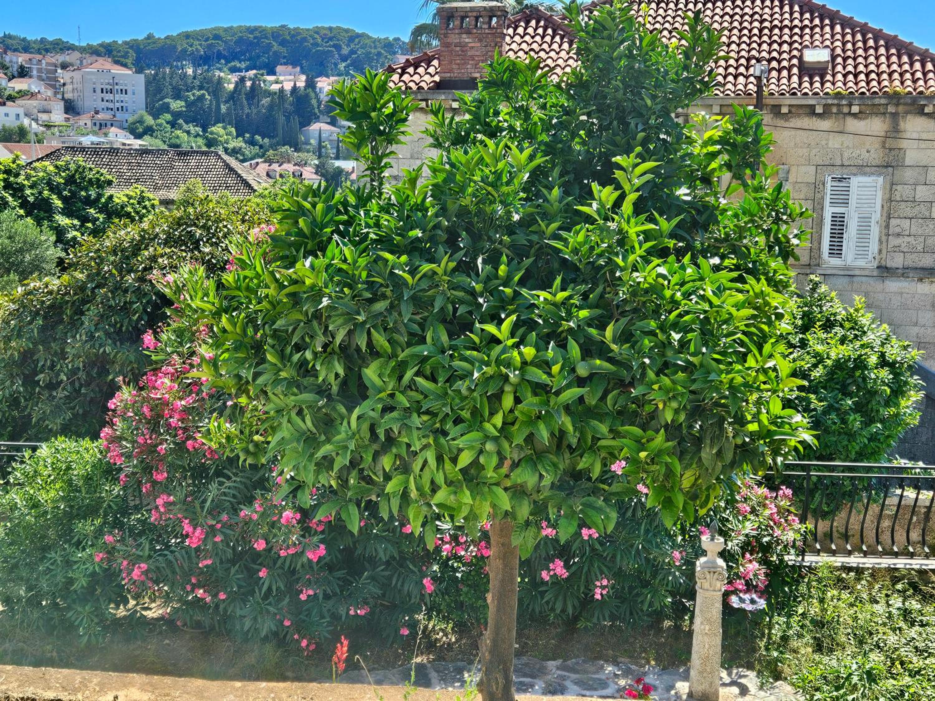 Gruz Holiday Hideaway