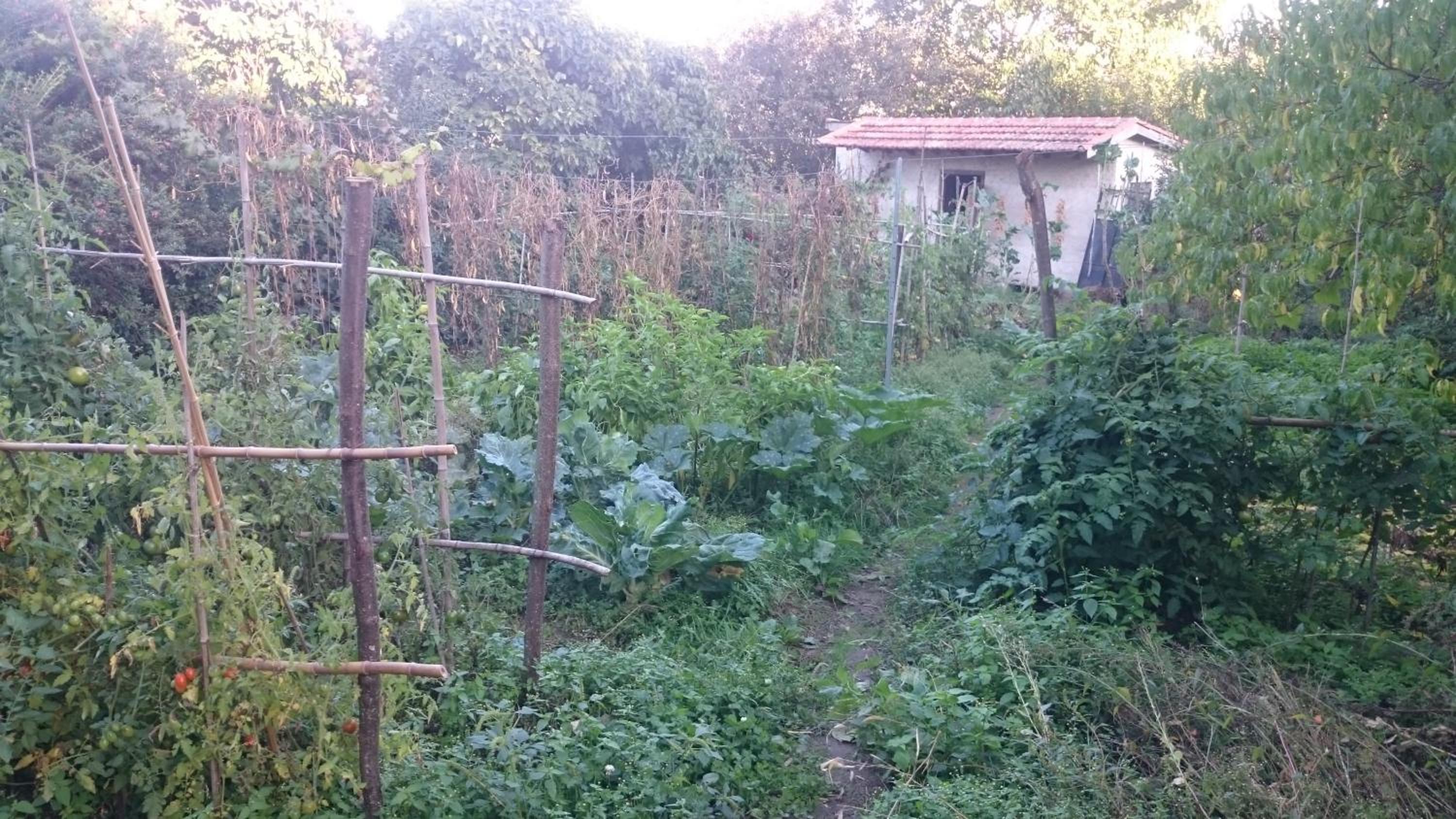Photo 58