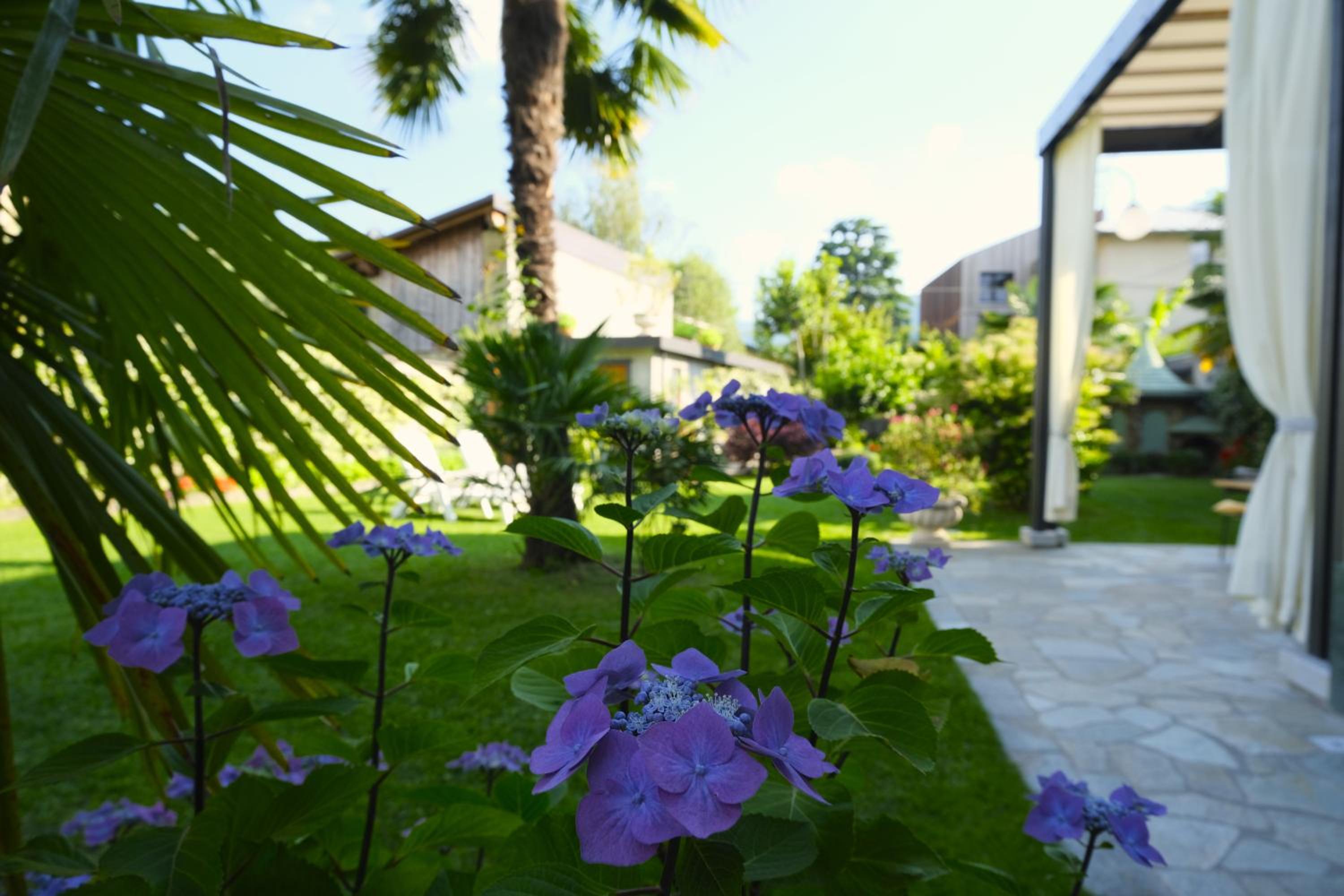Residenza Laurum