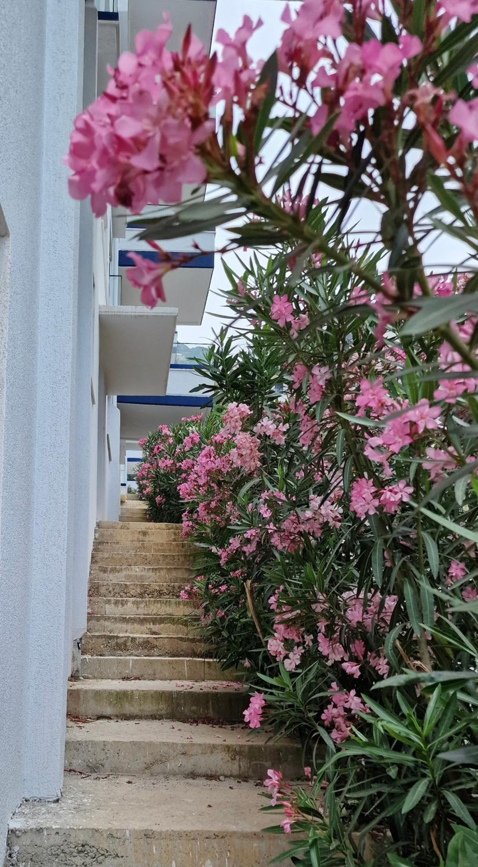 ELISOS Studio Apartment