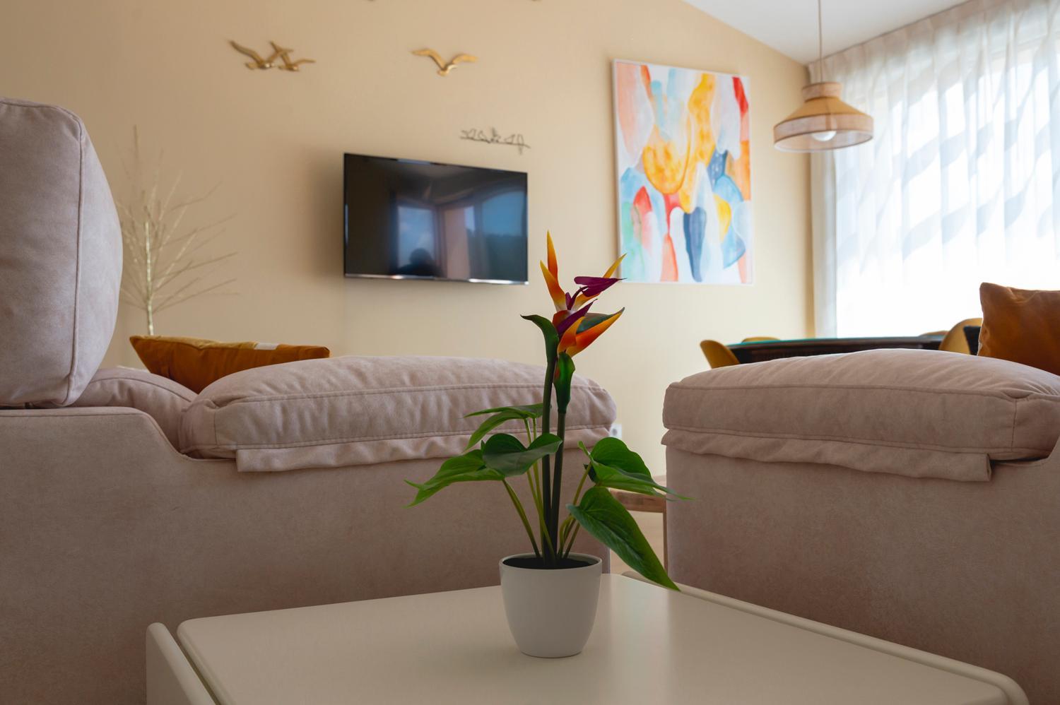 Casa Rural Terranova Luxe