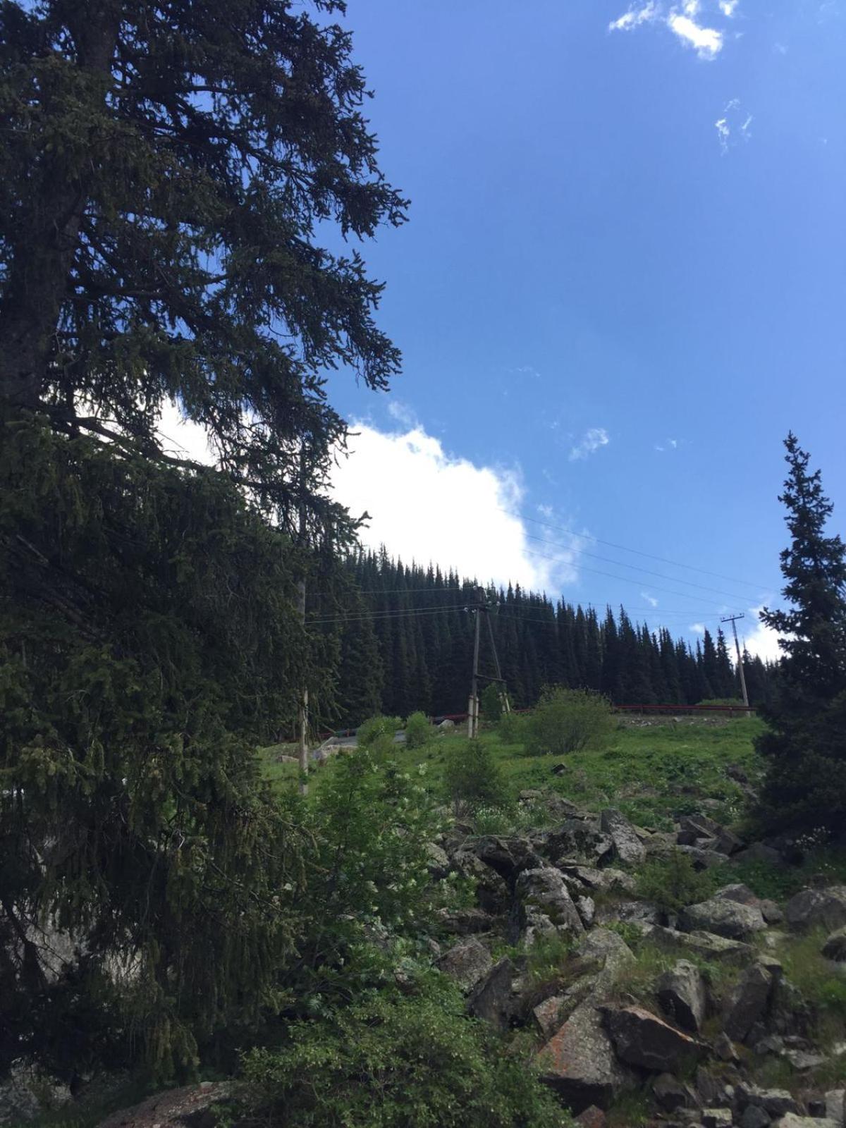 Photo 26
