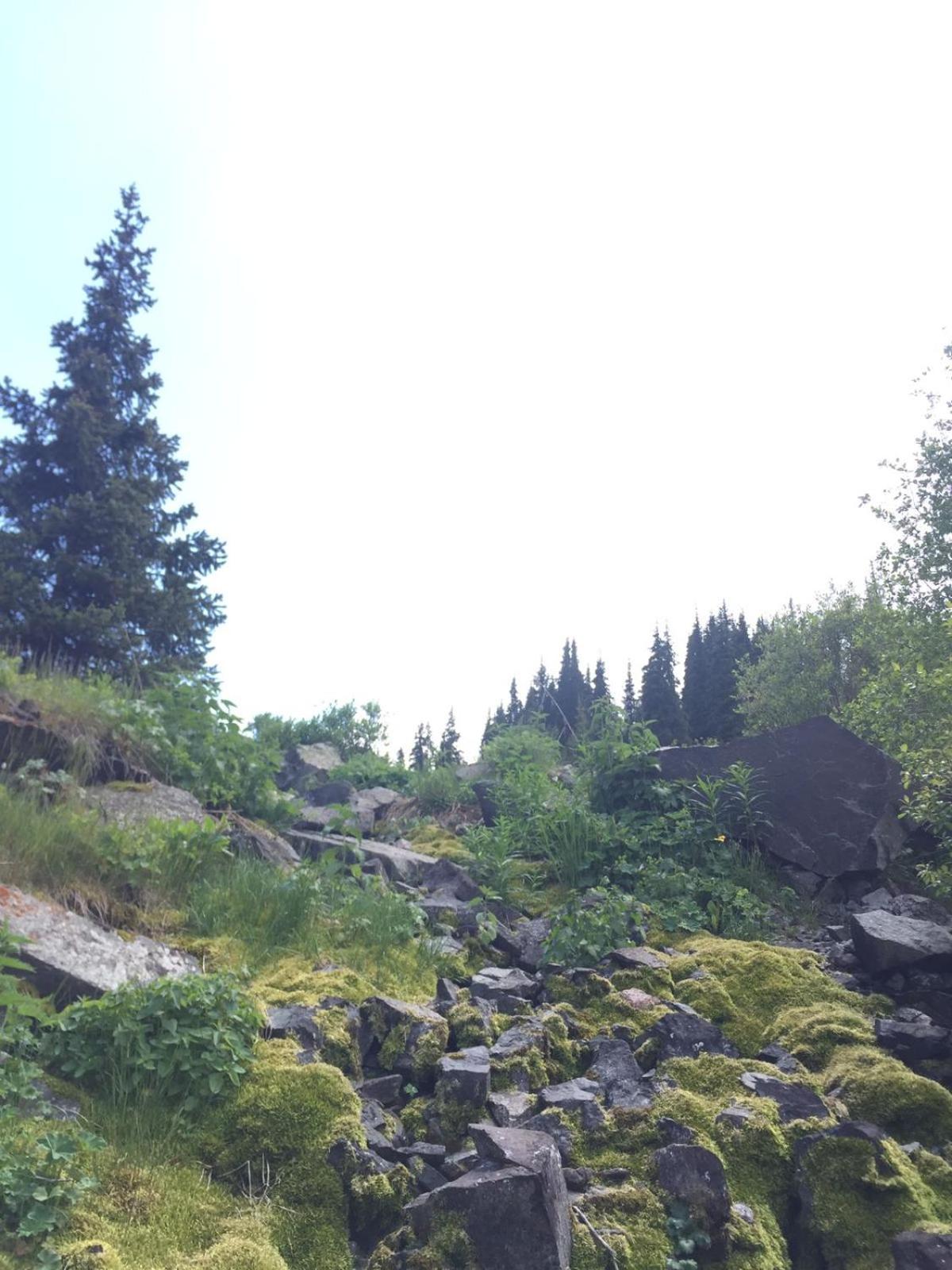 Photo 27