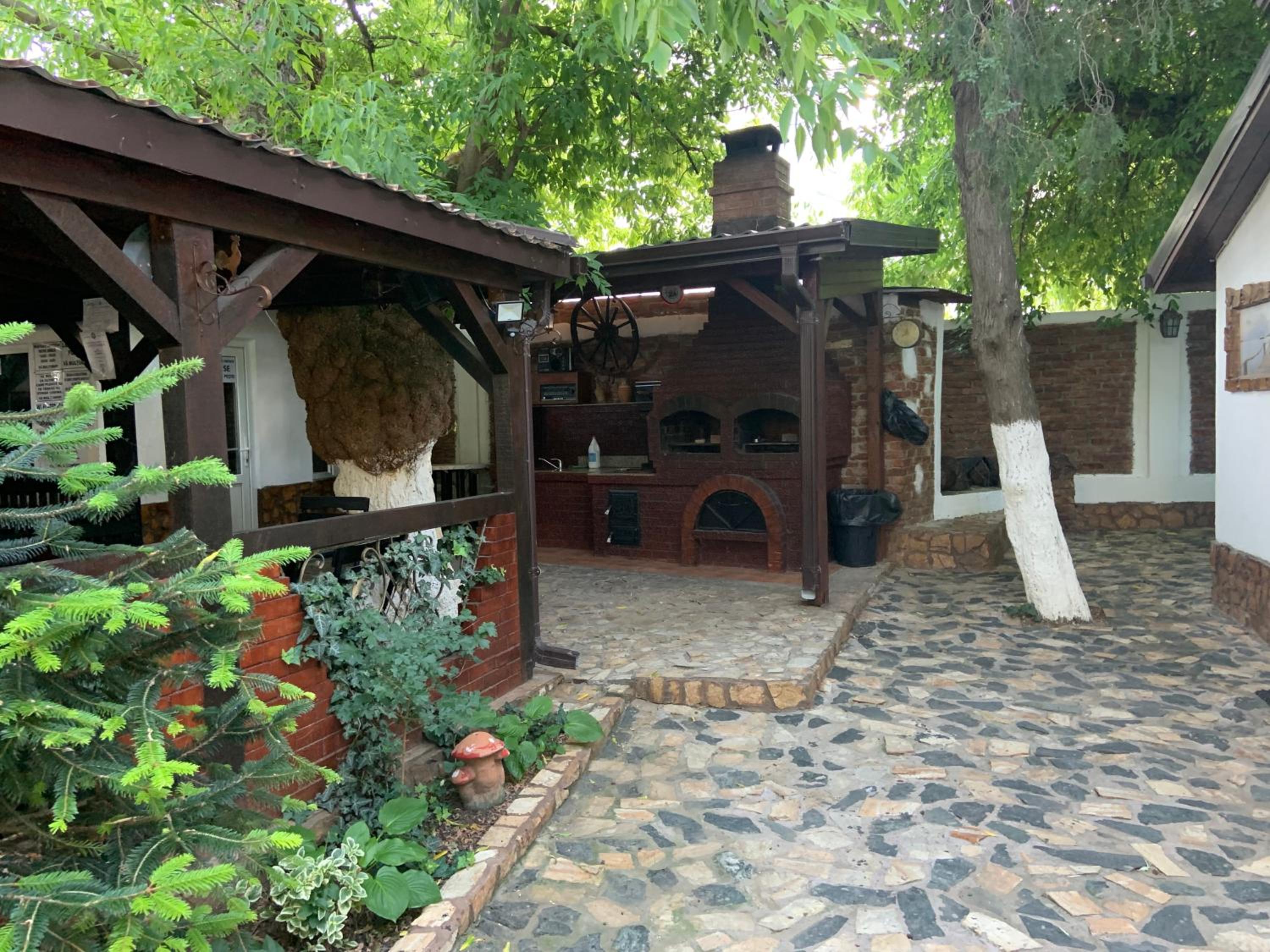 Photo 15
