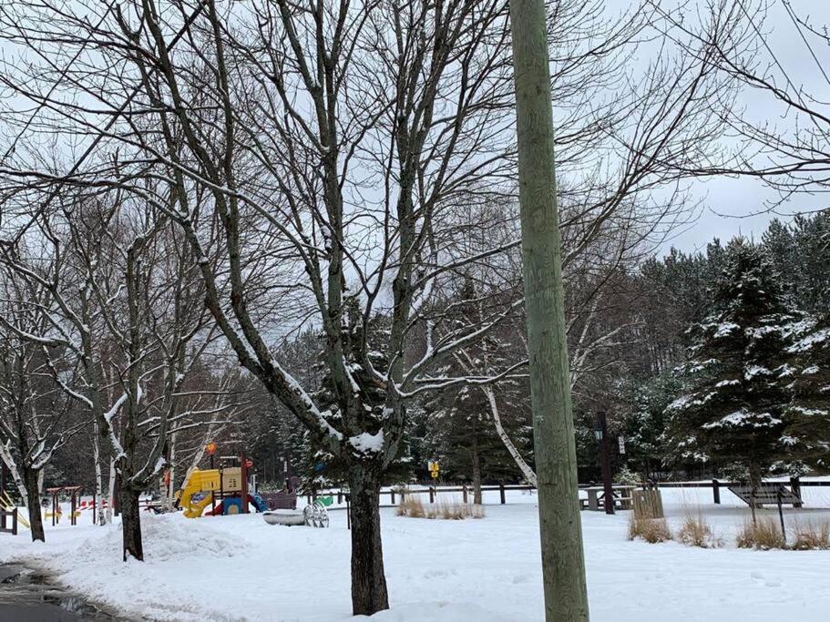 Tremblant Chalet Walking Distance from Activities