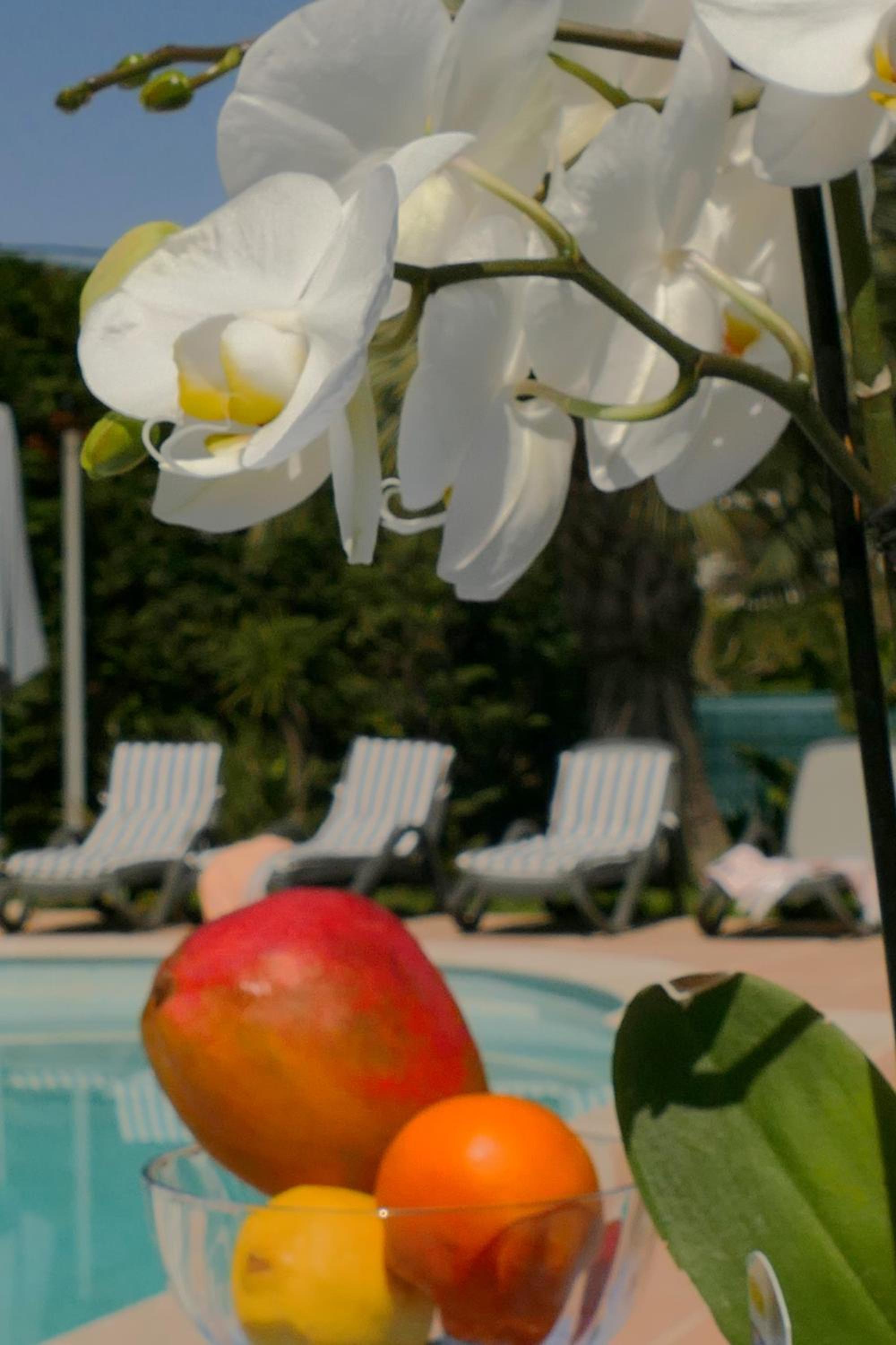 Villa Alessia