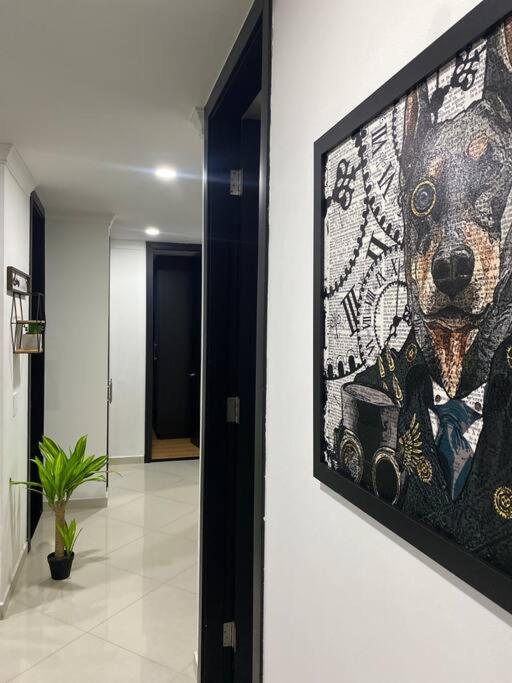 Apartamento Laureles- largas estadias