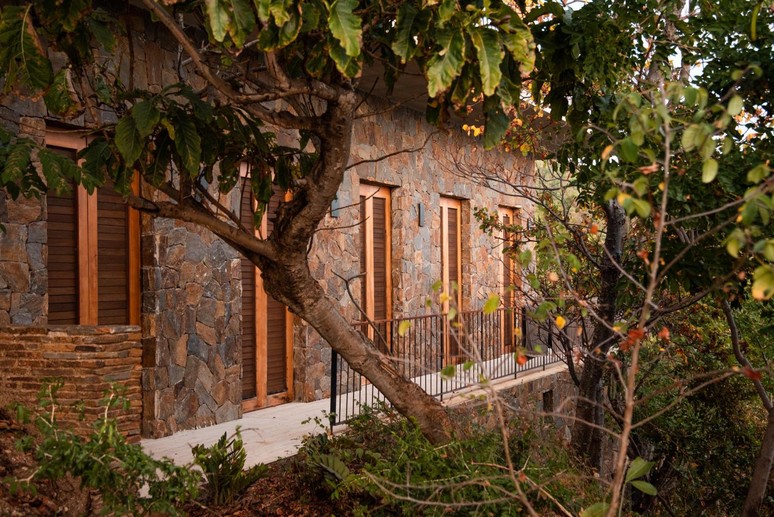 Casa Chicatana