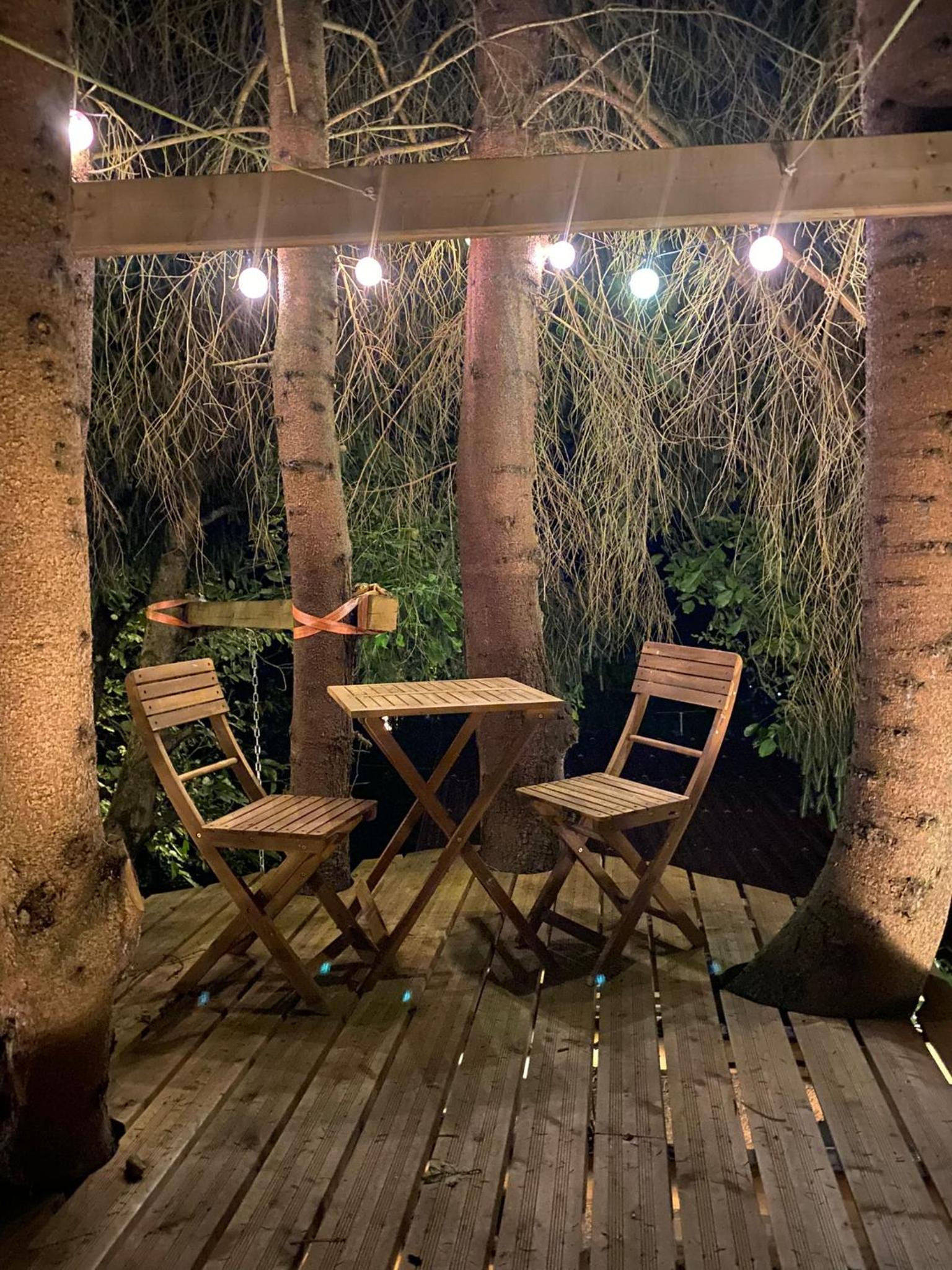 Maxi-Appartement zum gechillten Hirsch OG Traben-Trarbach