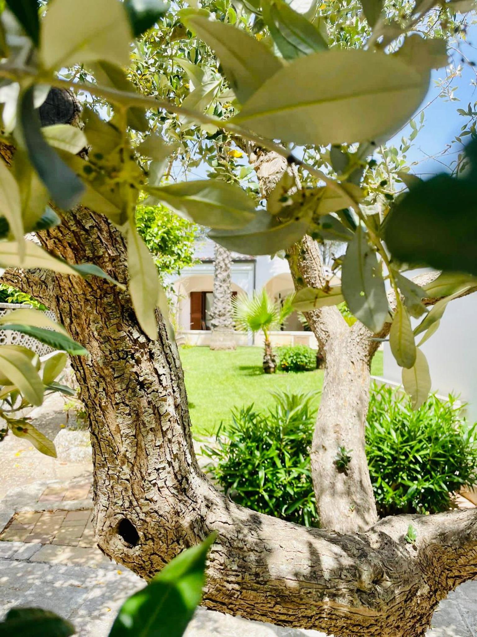 Trulli Ada