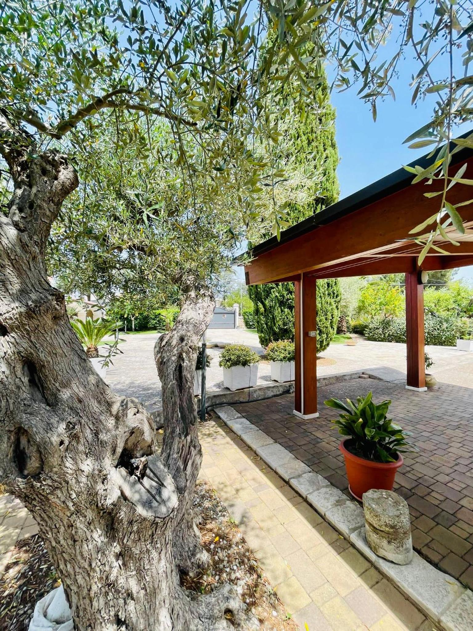 Trulli Ada