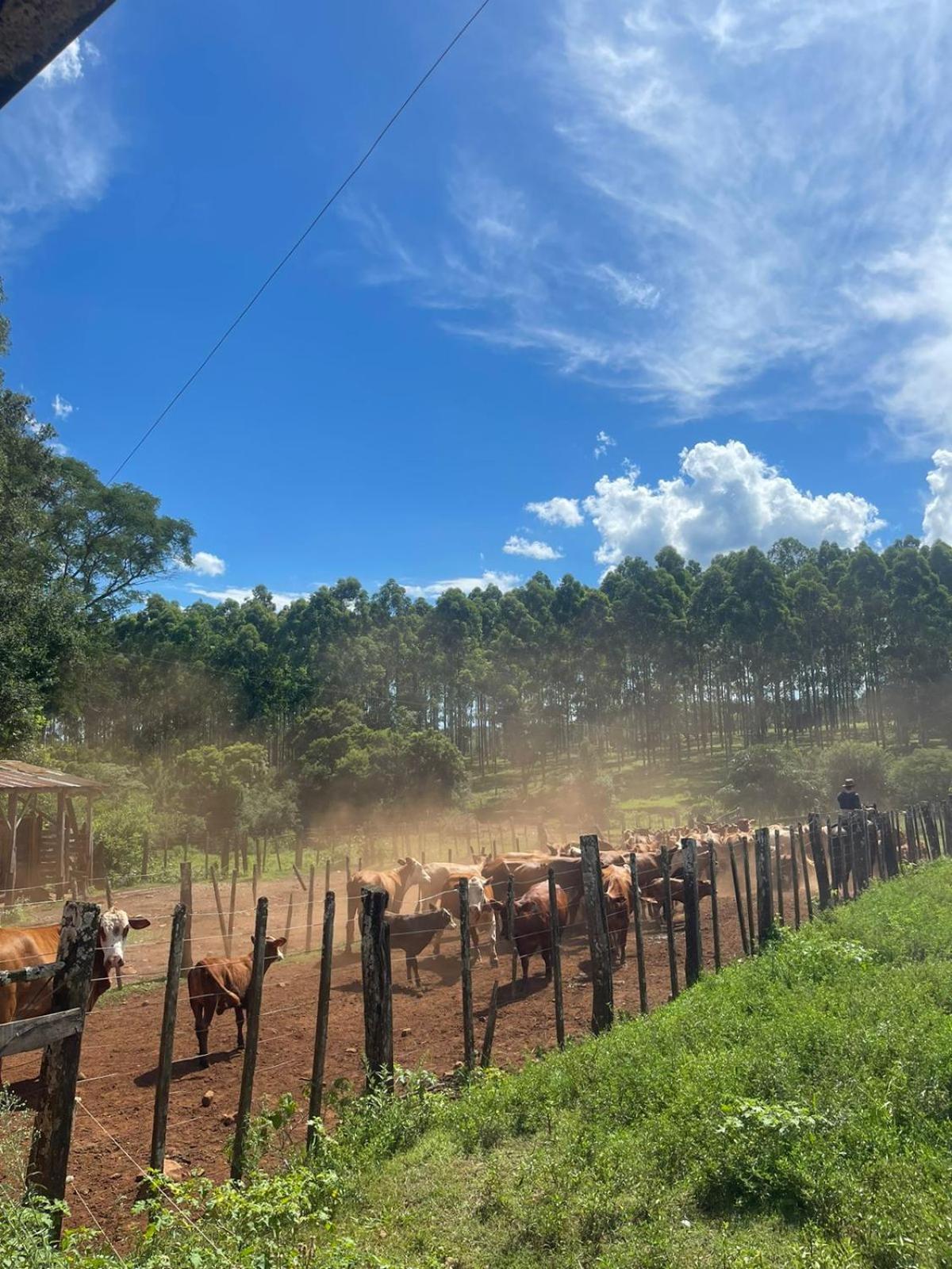 Estancia Las Mercedes