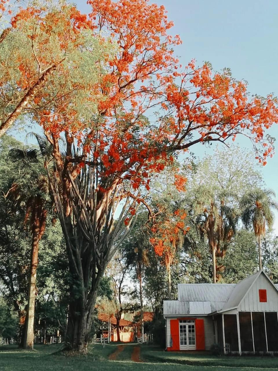 Estancia Las Mercedes