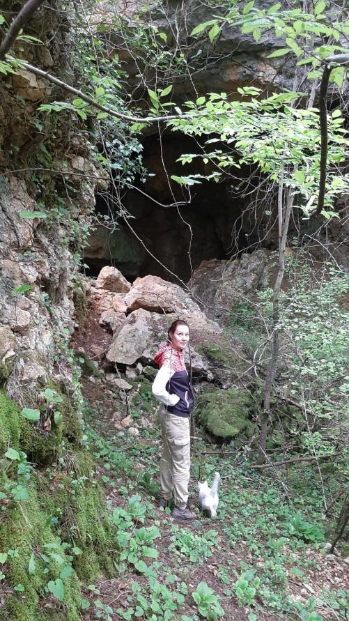 Photo 24