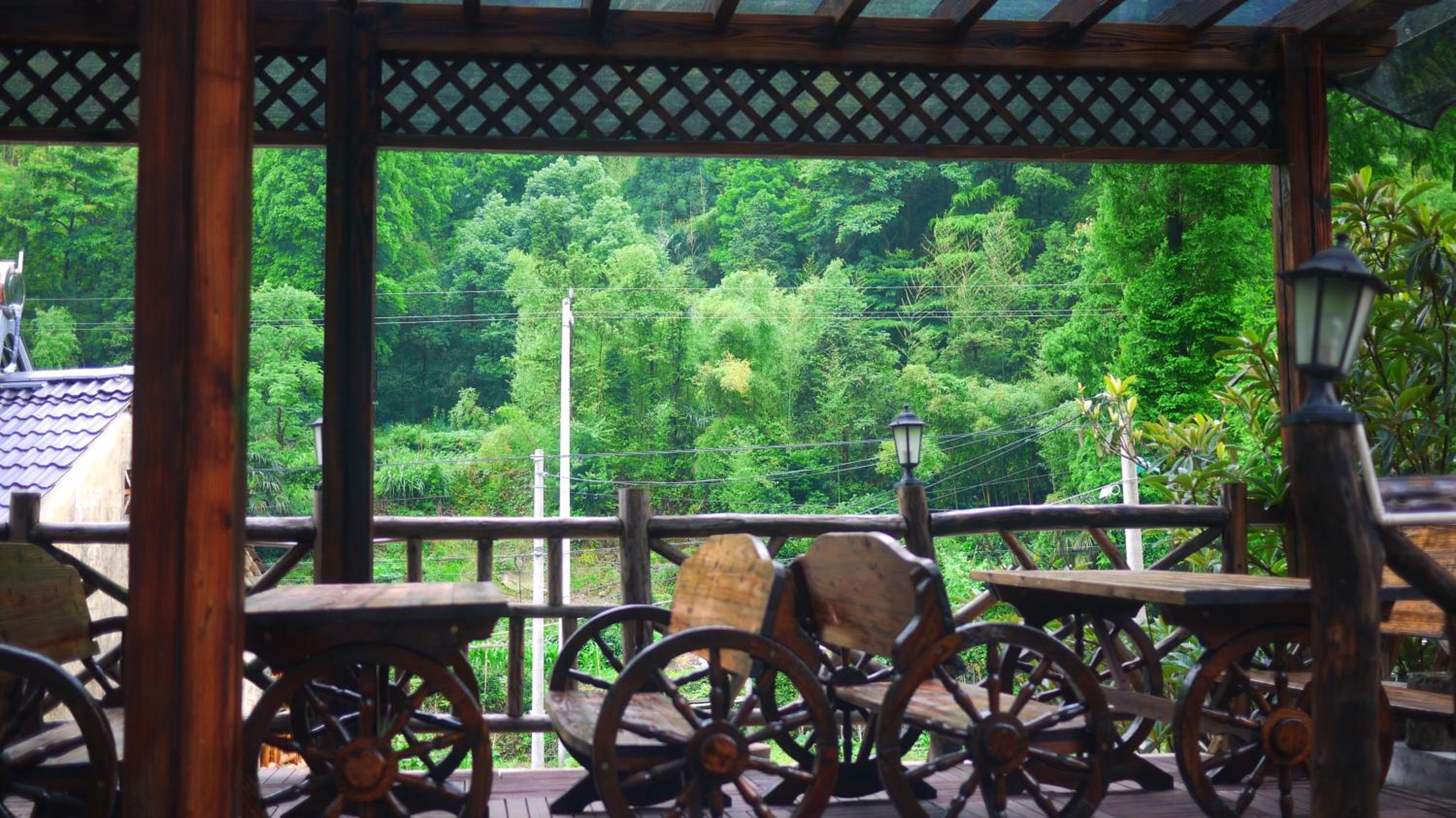 Moganshan Bamboo View Guesthouse
