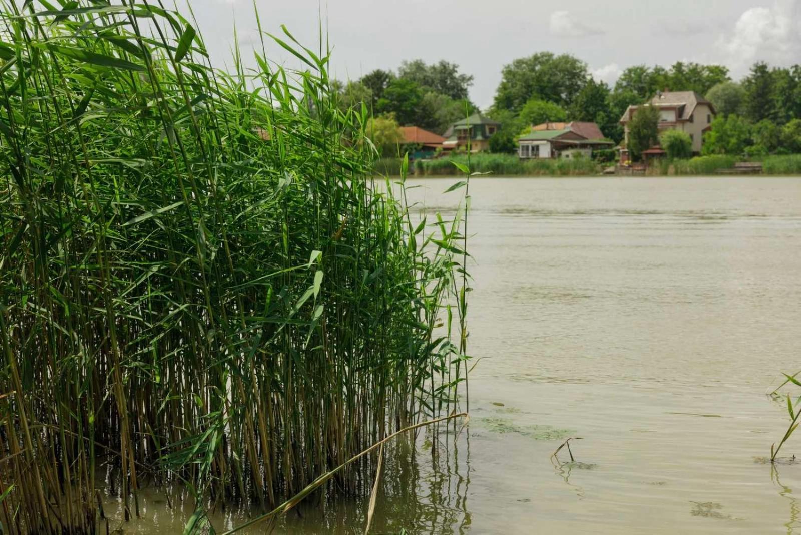 Nyárfás Panoráma Vendégház