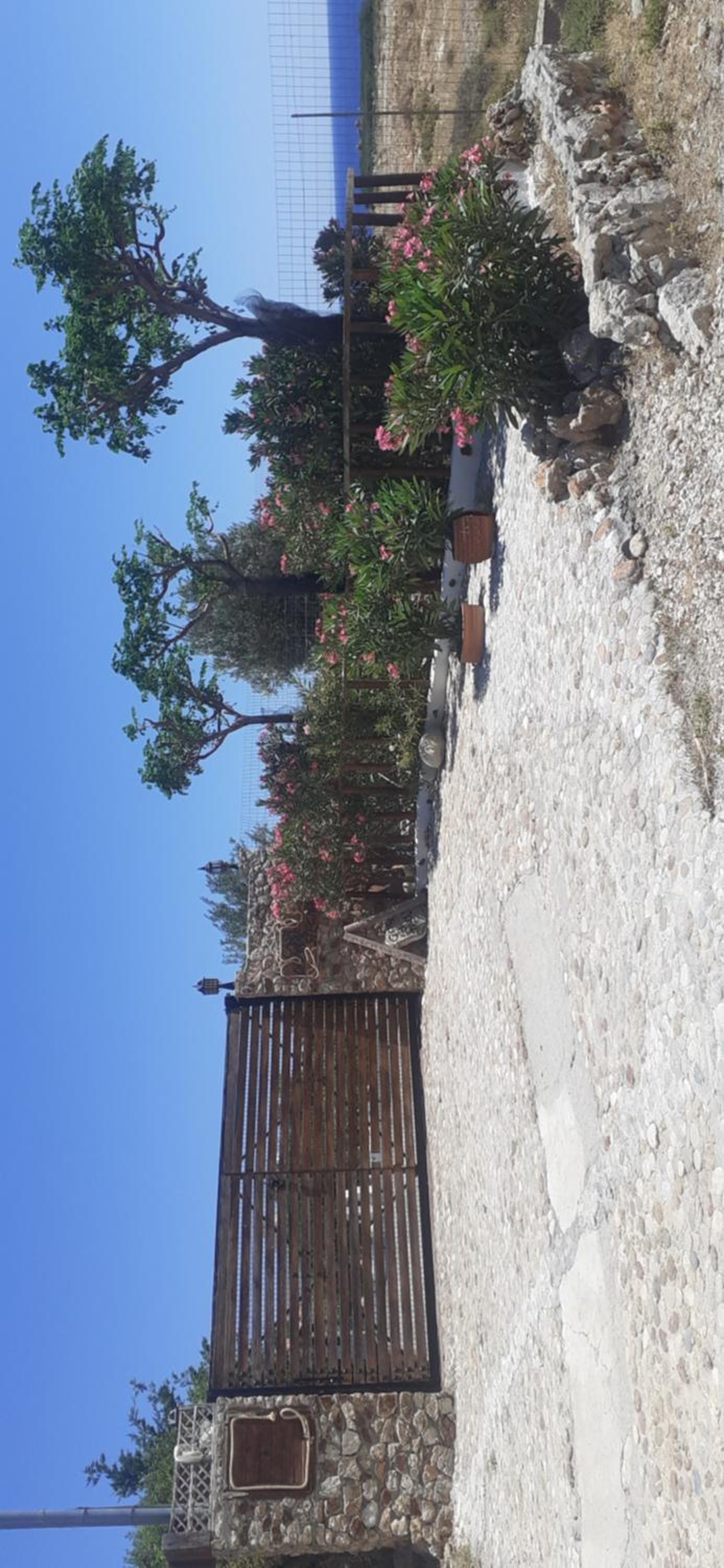 Casa di Mare Stegna photo 4