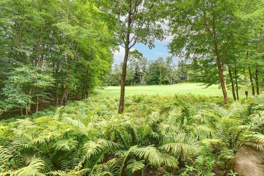 Manoirs-Luxury Golf - 1KM to Mont-Tremblant with AC