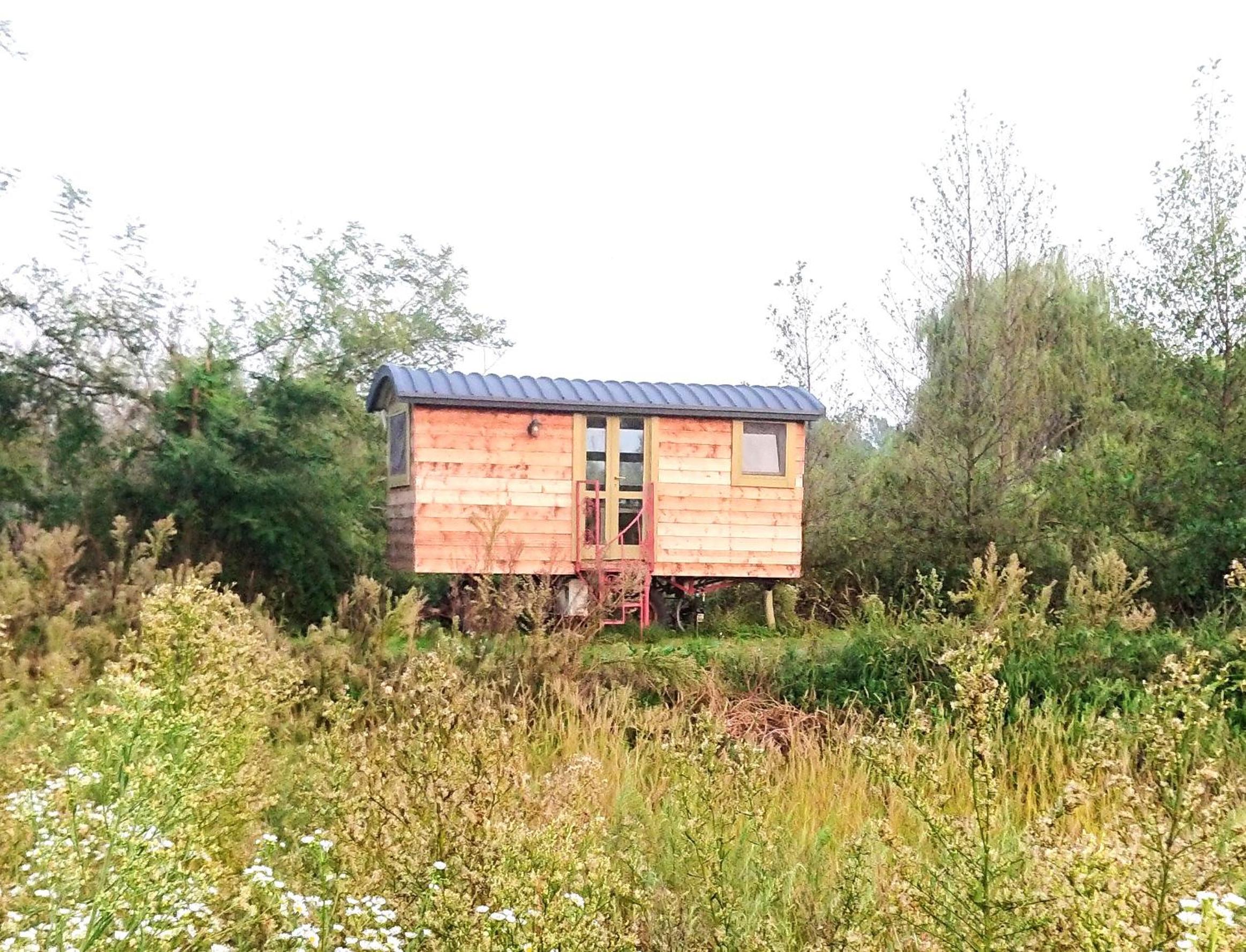 Glamping Casetta sul lago view 5