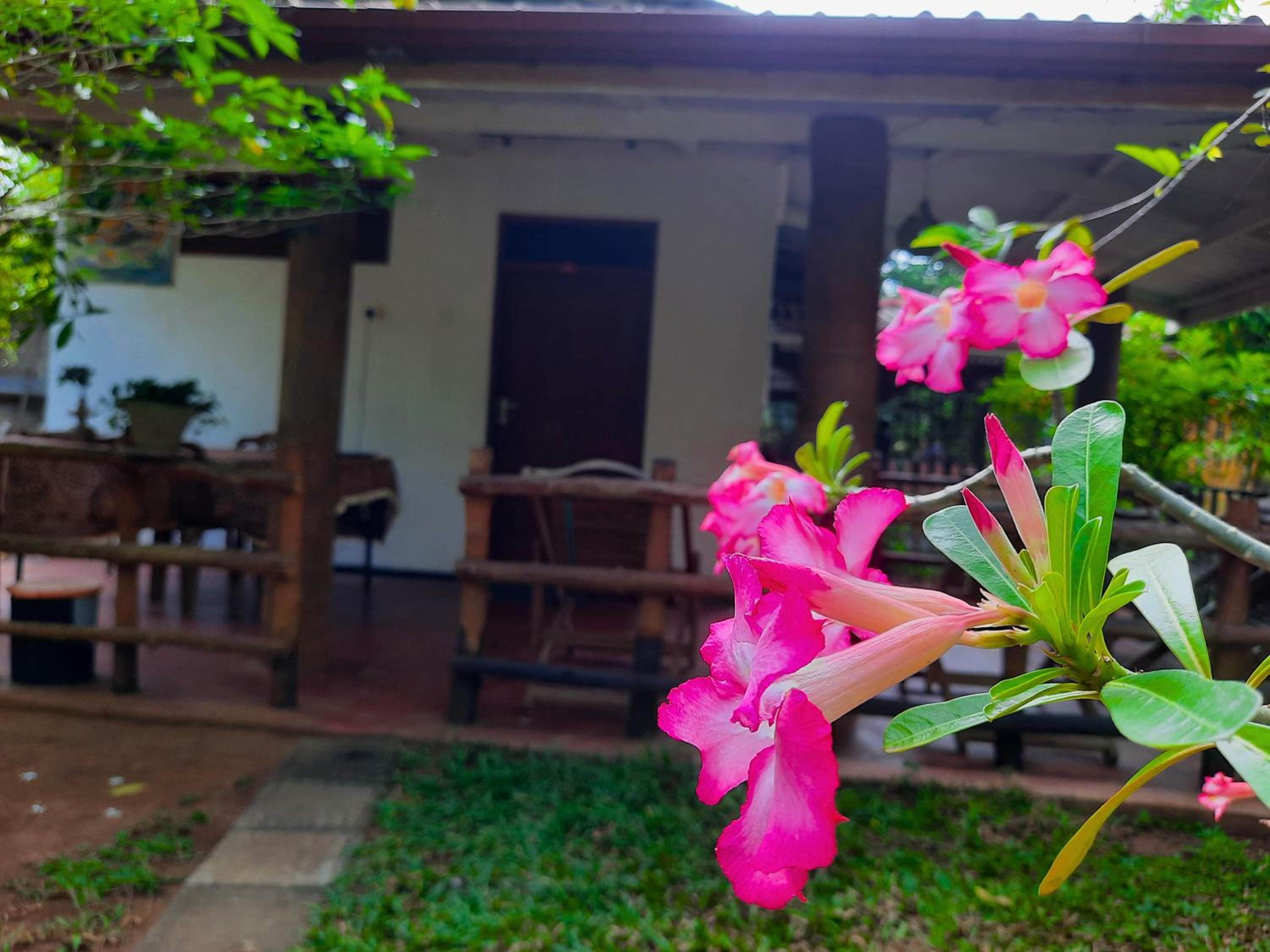 Batu's Safari lodge Udawalawe