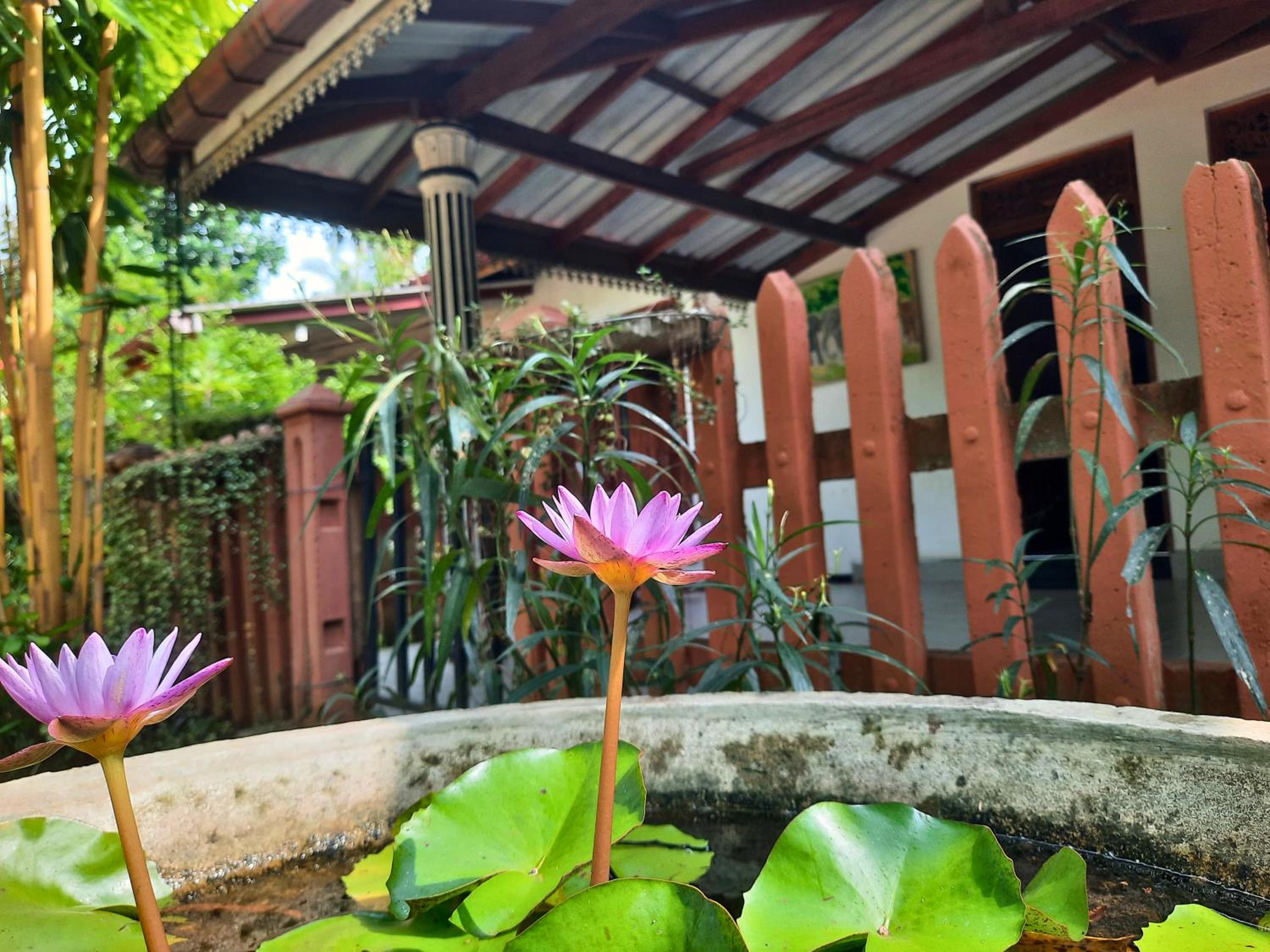Batu's Safari lodge Udawalawe