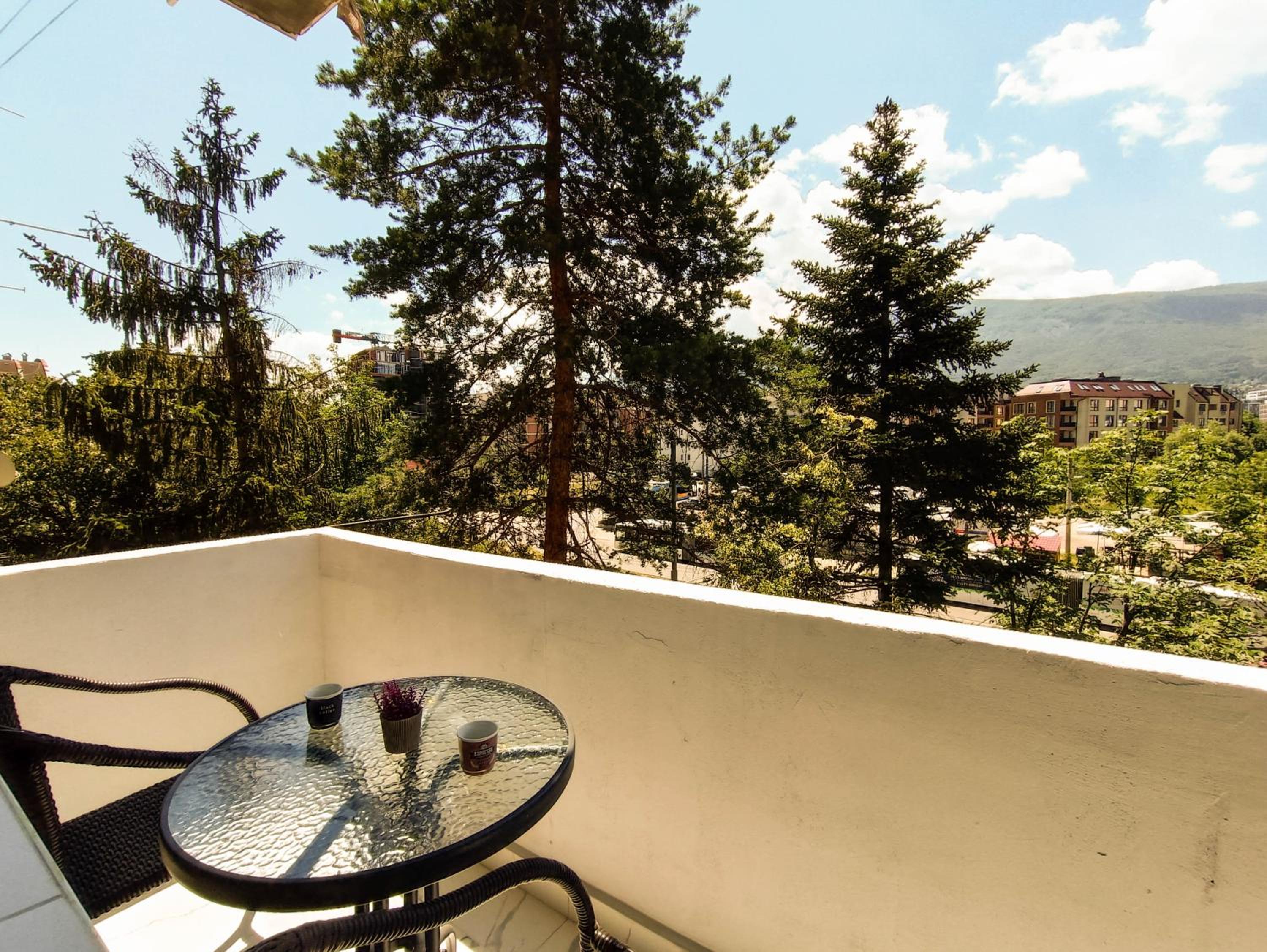 Vitosha Apartment