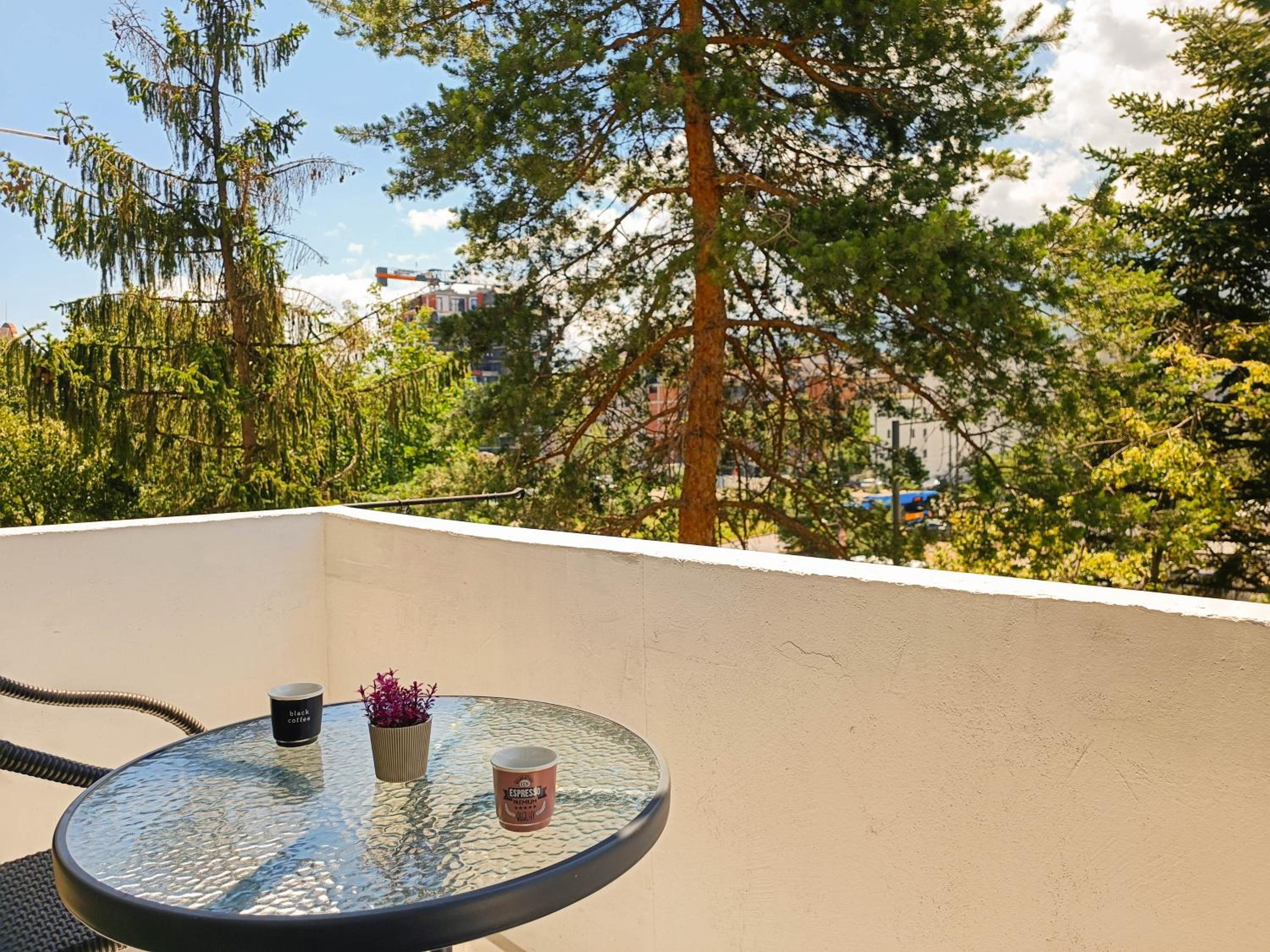 Vitosha Apartment