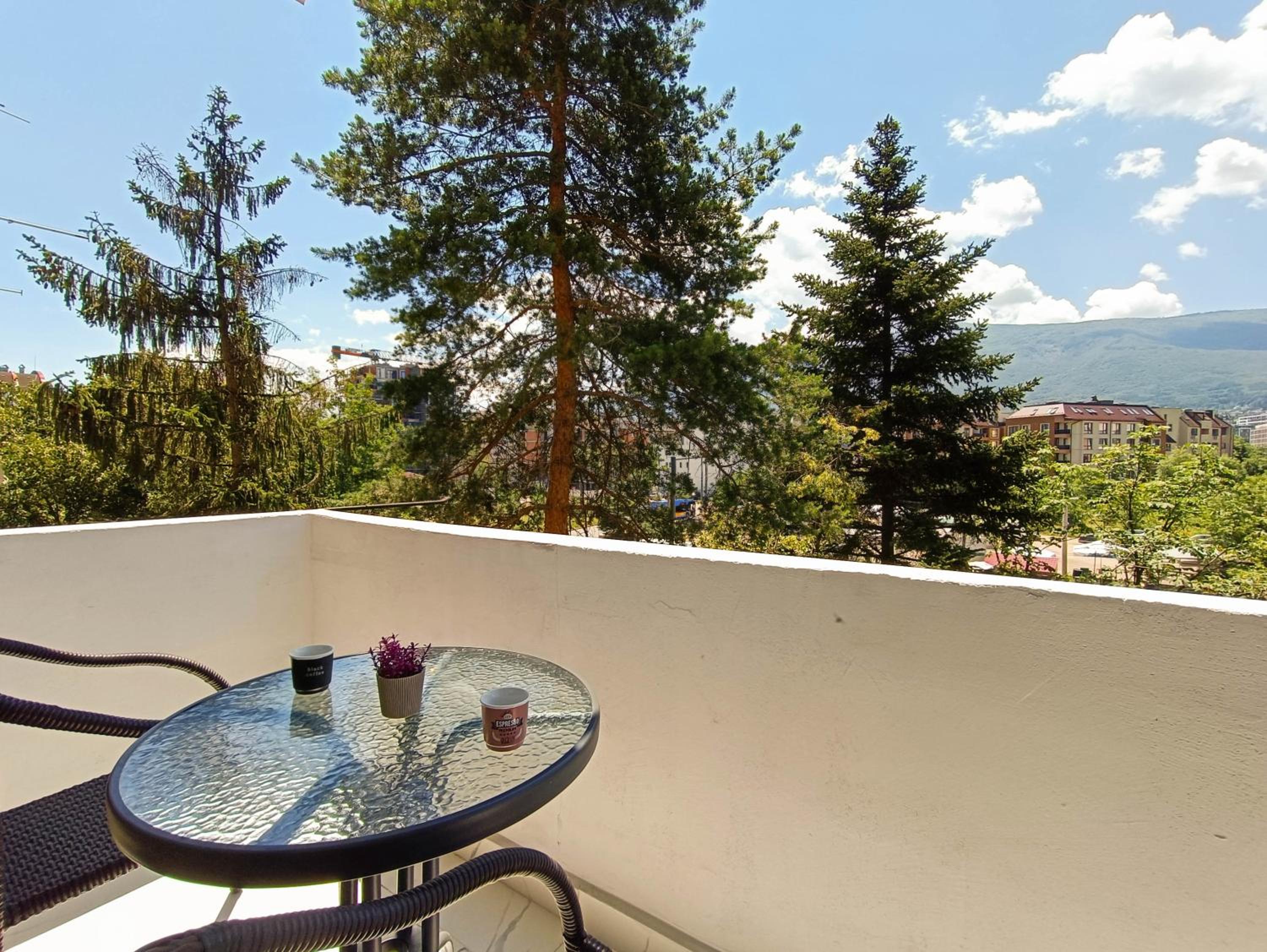 Vitosha Apartment