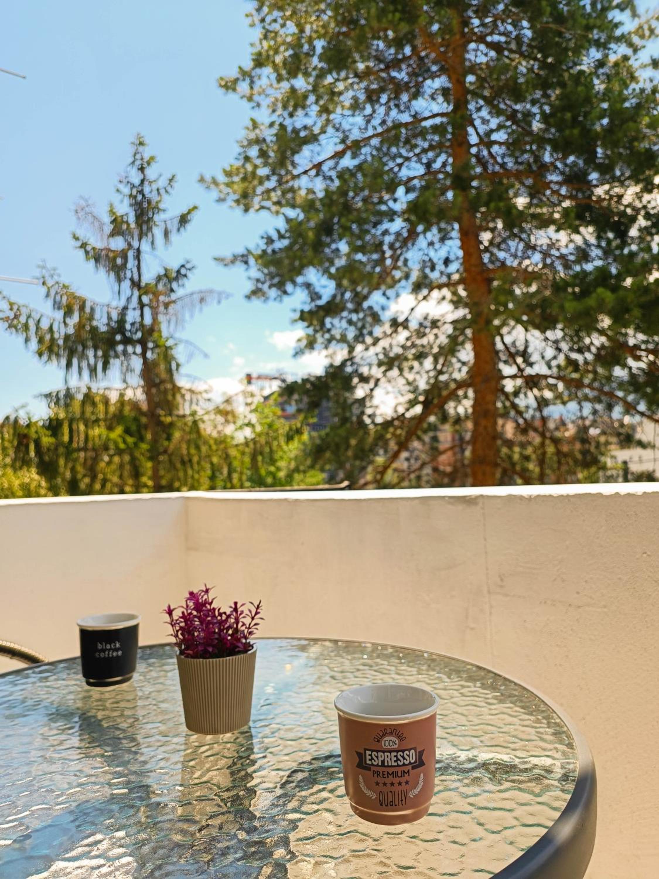 Vitosha Apartment