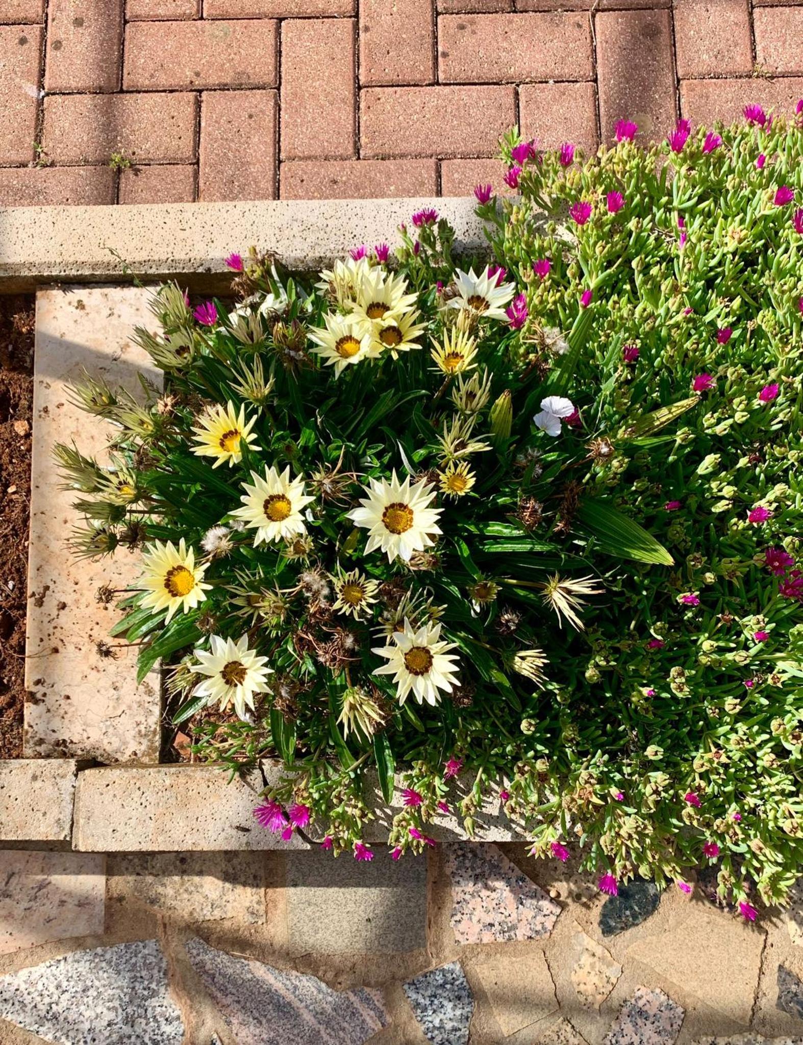 Apartments Marinela - Property Image 35