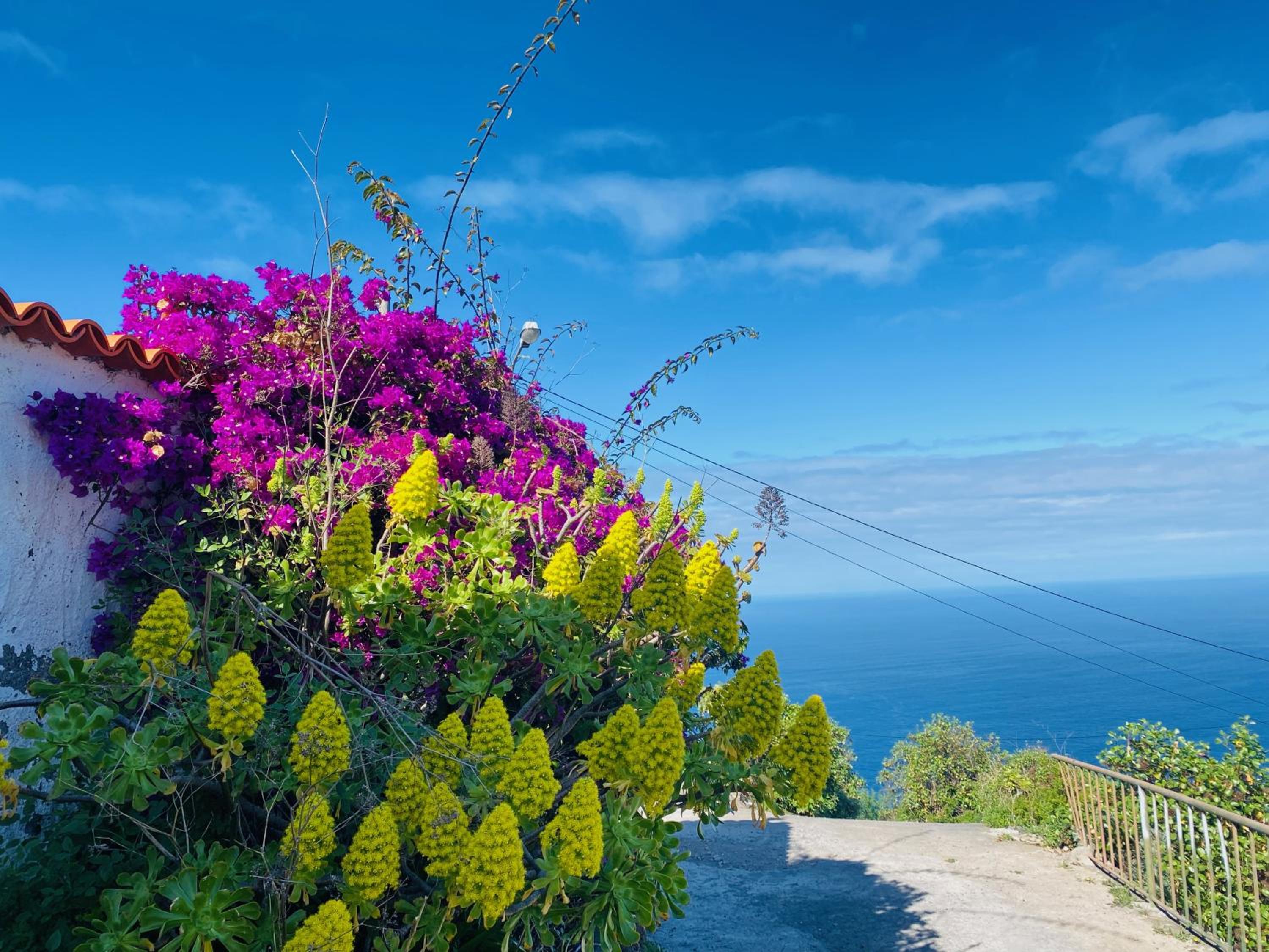 Finca mit Meerblick und Jacuzzi
