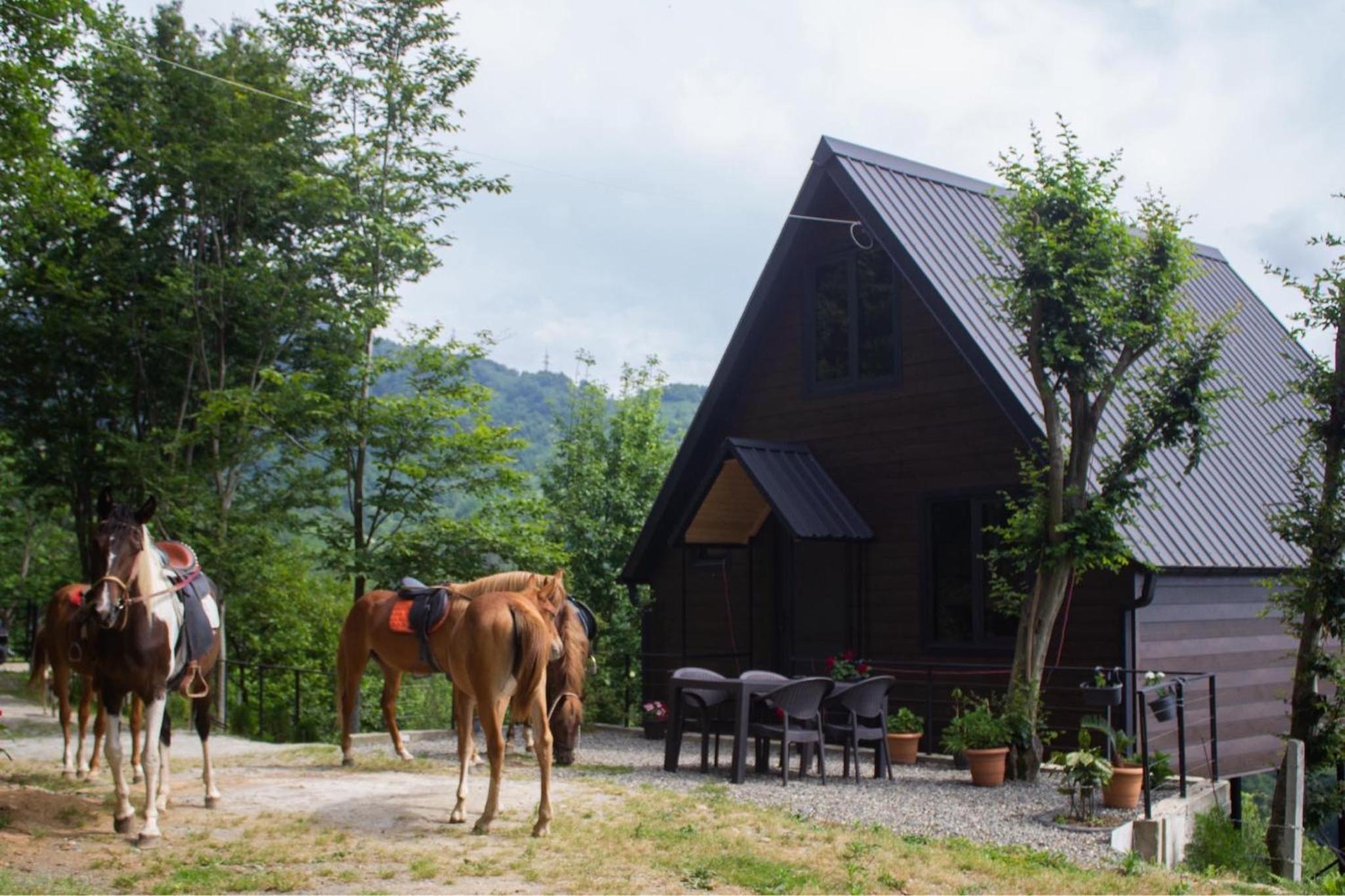Cottage KOLKHA