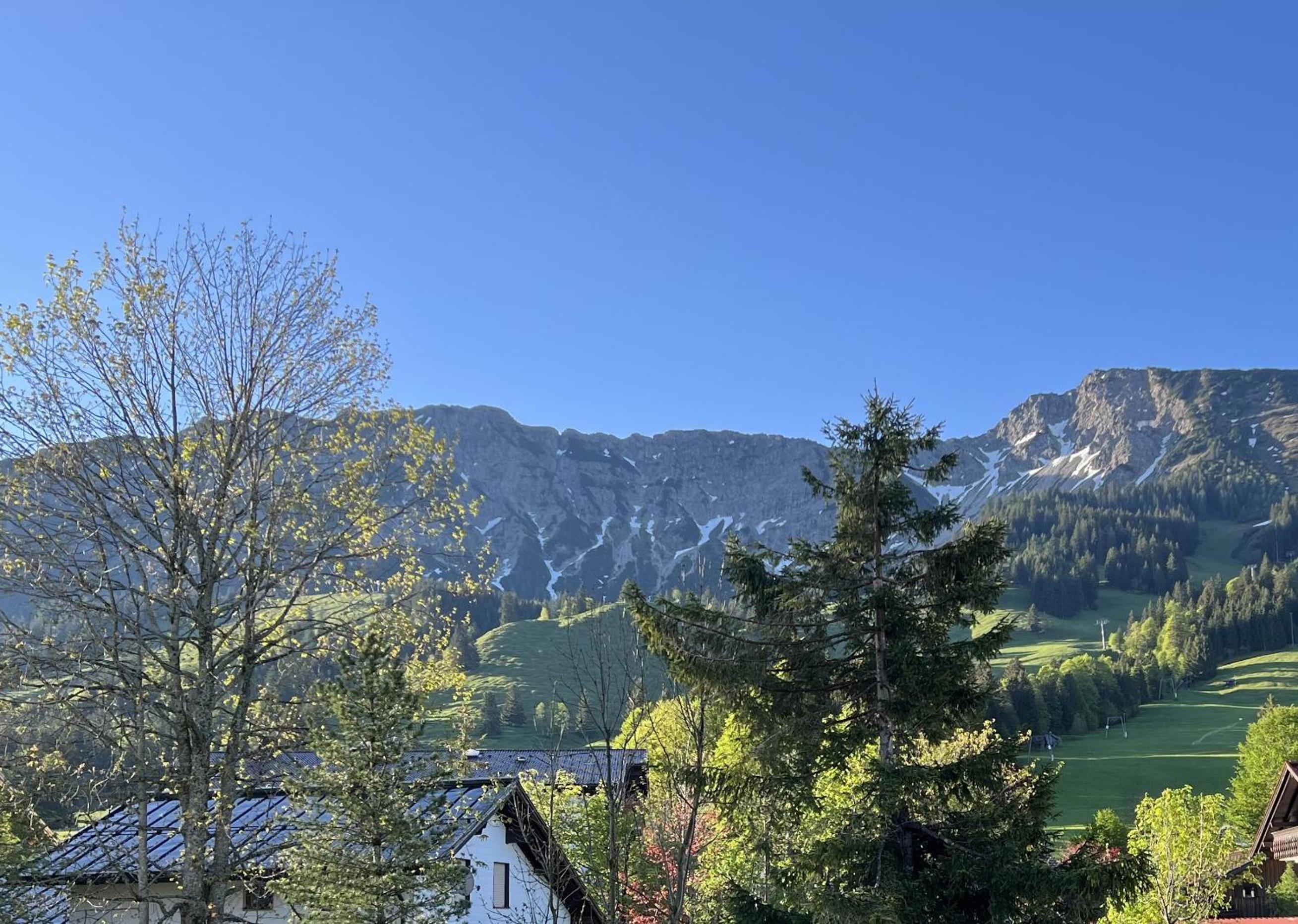 Bergnest Iseler mit Panoramablick