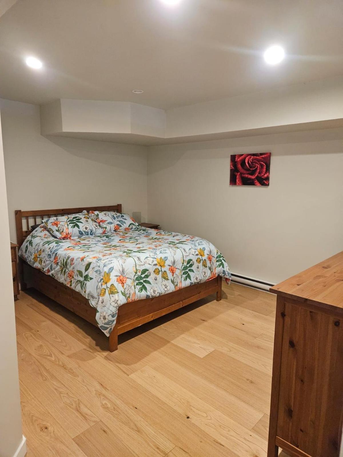 Lovely 1 Bedroom Suite Near Town