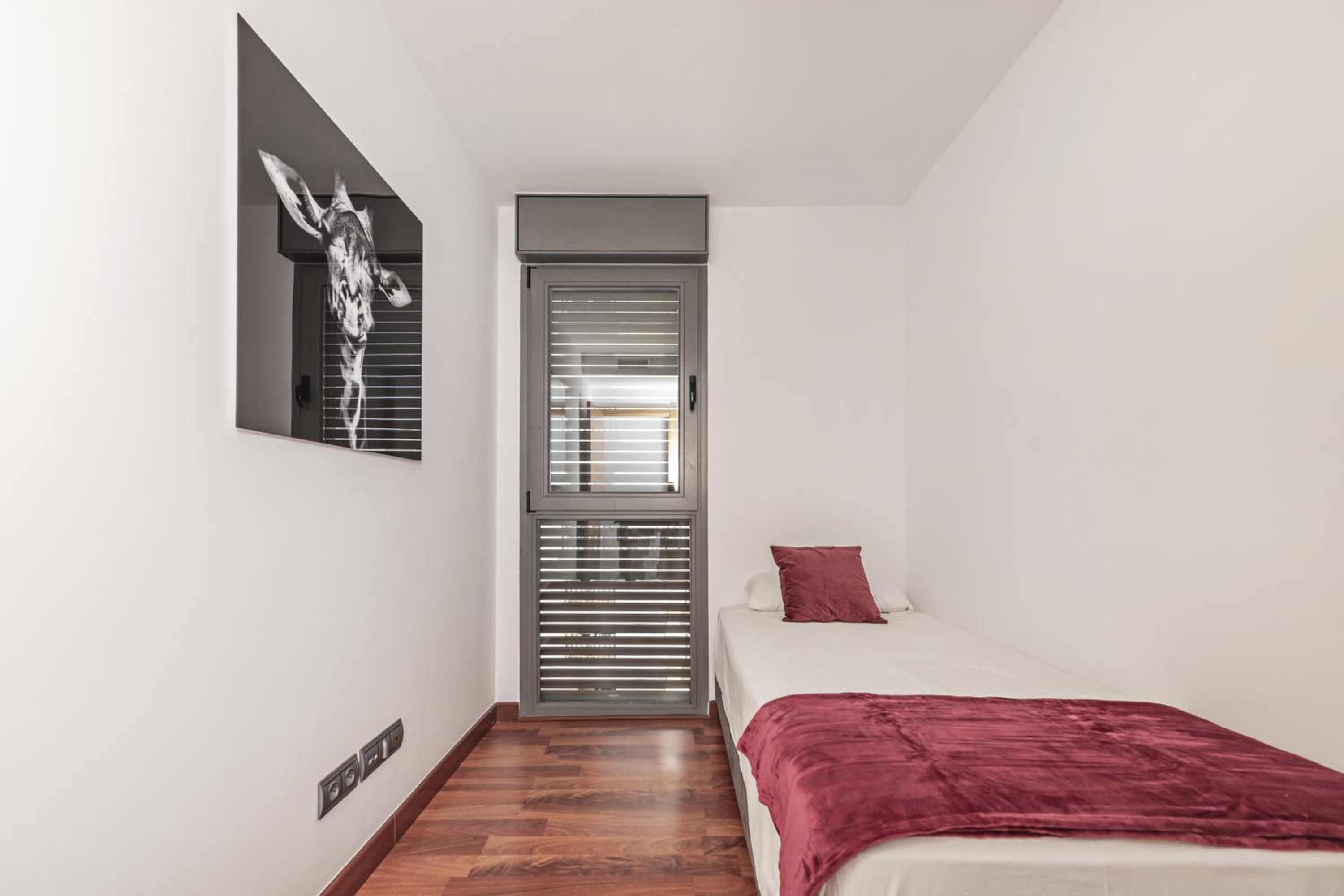 Luxury apartments in Barrio Palacio