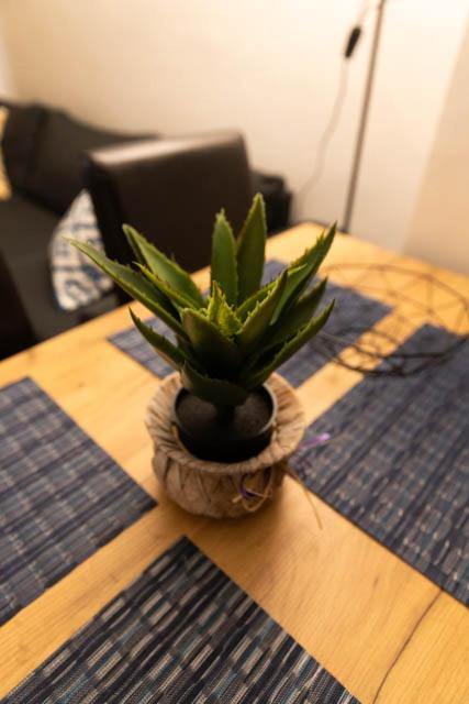 Lovely 1BD Flat near the Sea Garden by Flat Mаnаger