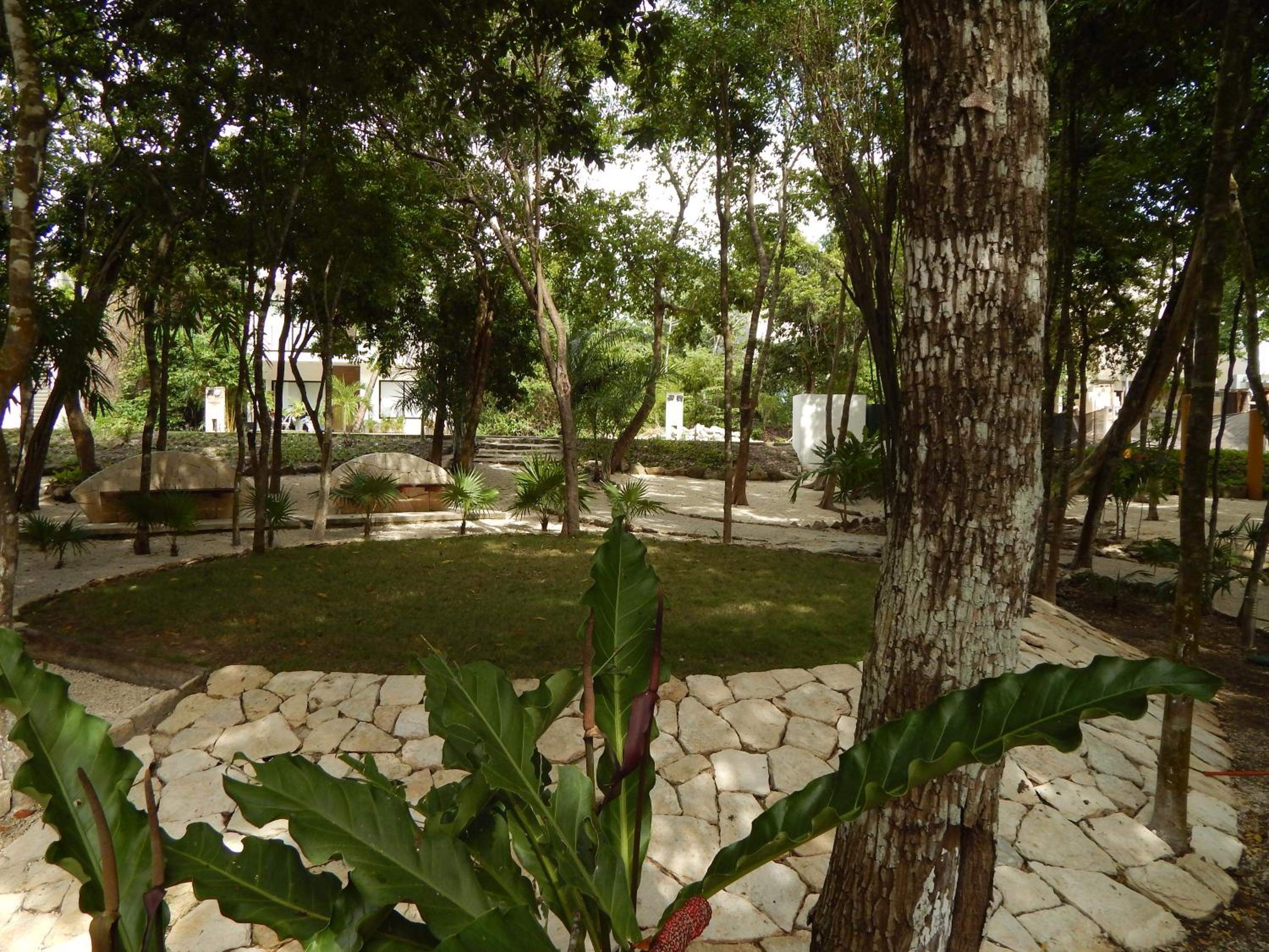 Photo 40