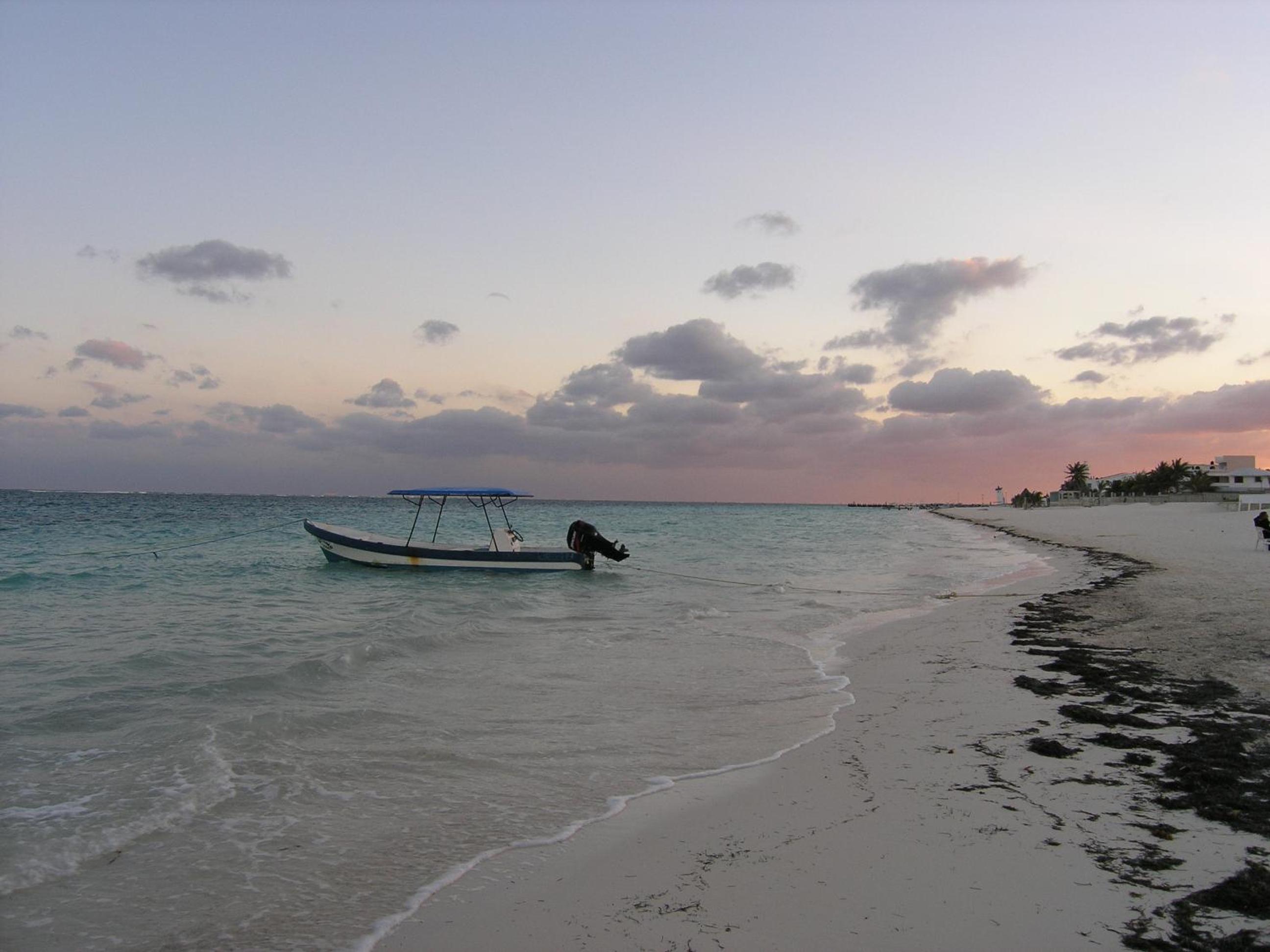 Photo 46