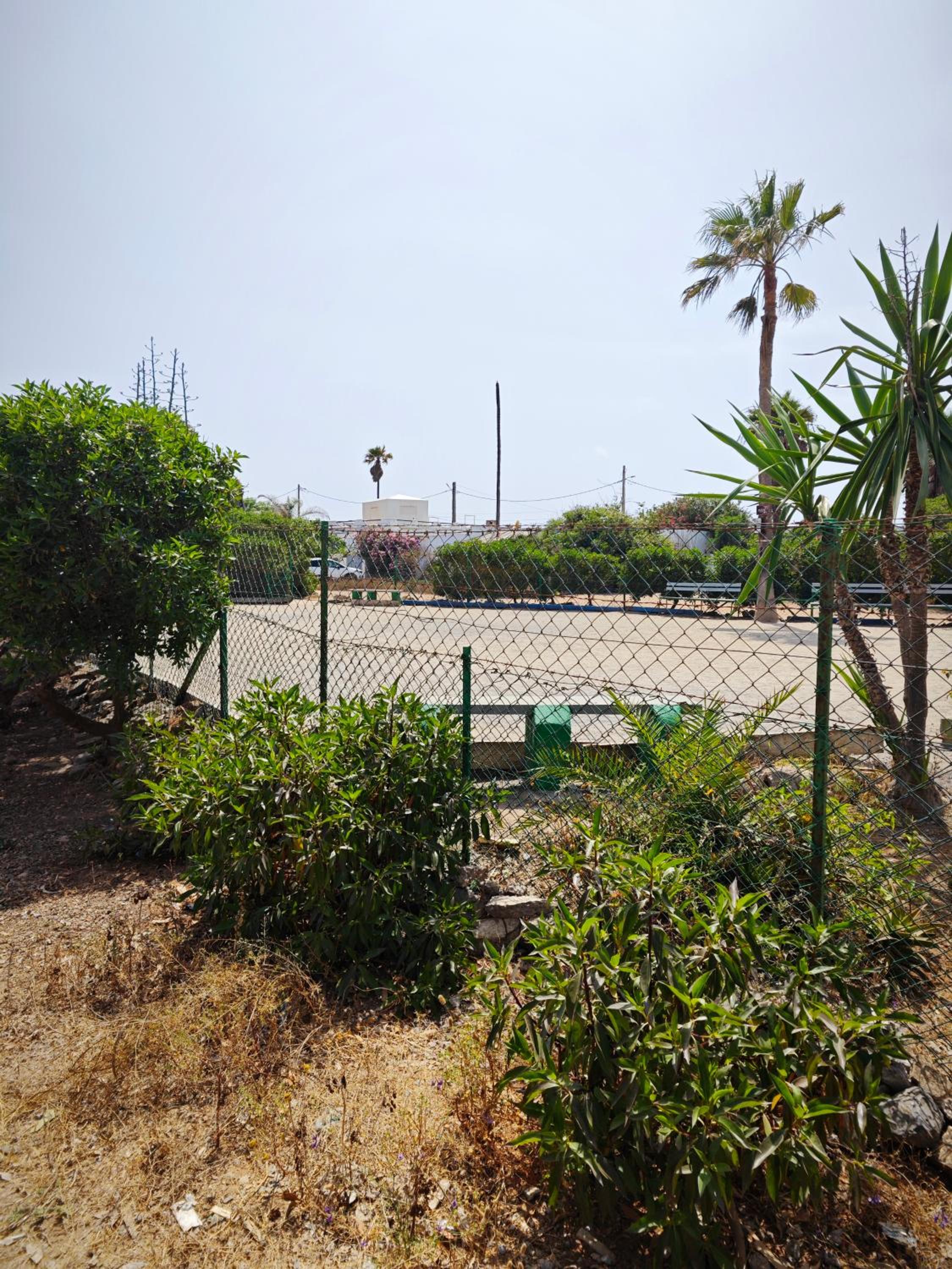 Photo 20