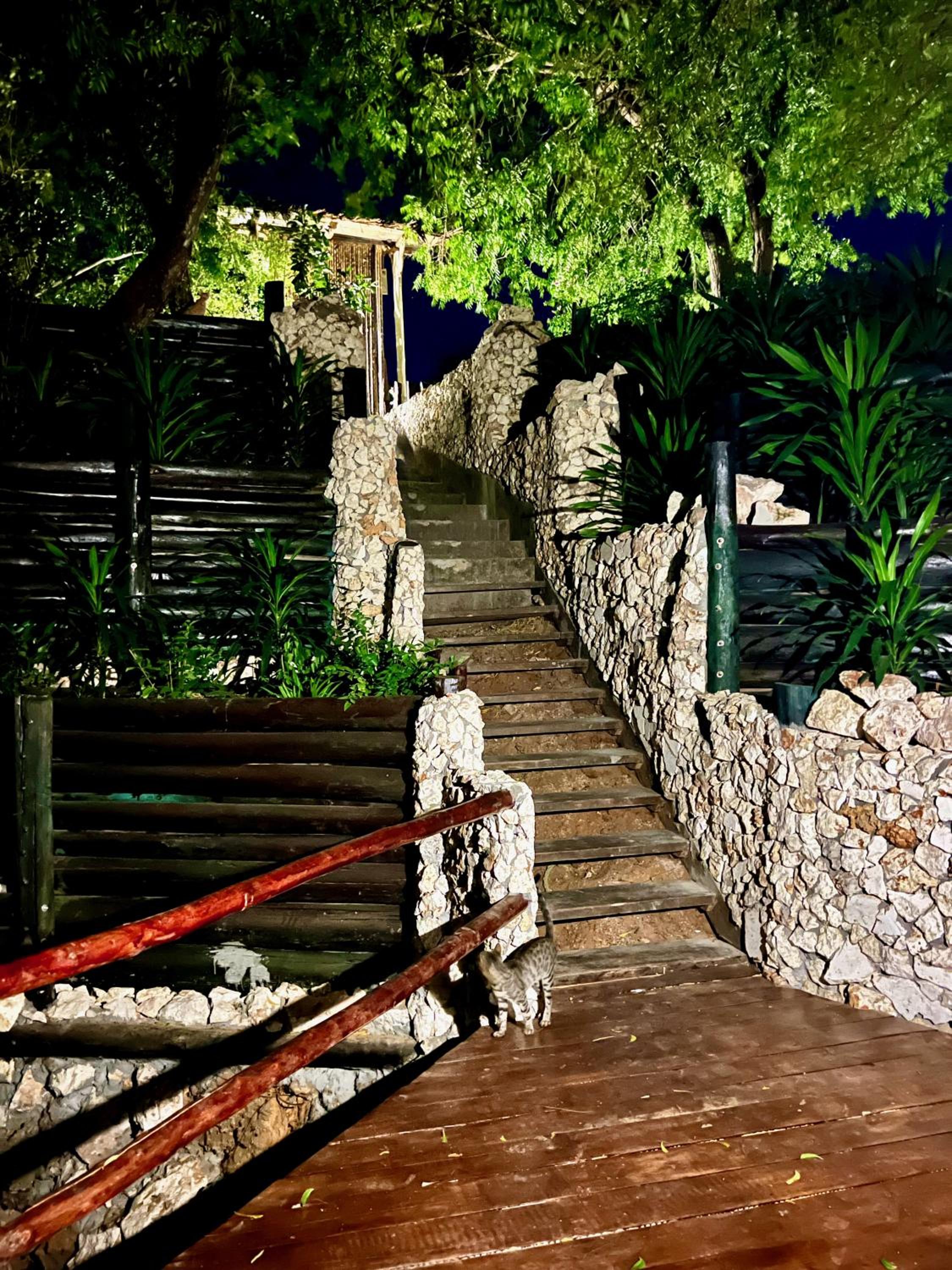 Rock and Sea Resort